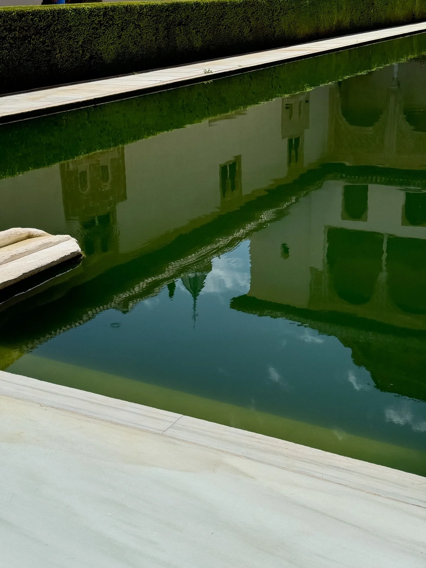 The body’s yearning for the garden and running water is because the body springs from both,
just as the spirit’s predilection for life and the living arises from its origin within the undetectable spirit.
Jalāl al-Dīn al-Rūmī (1207-1273)