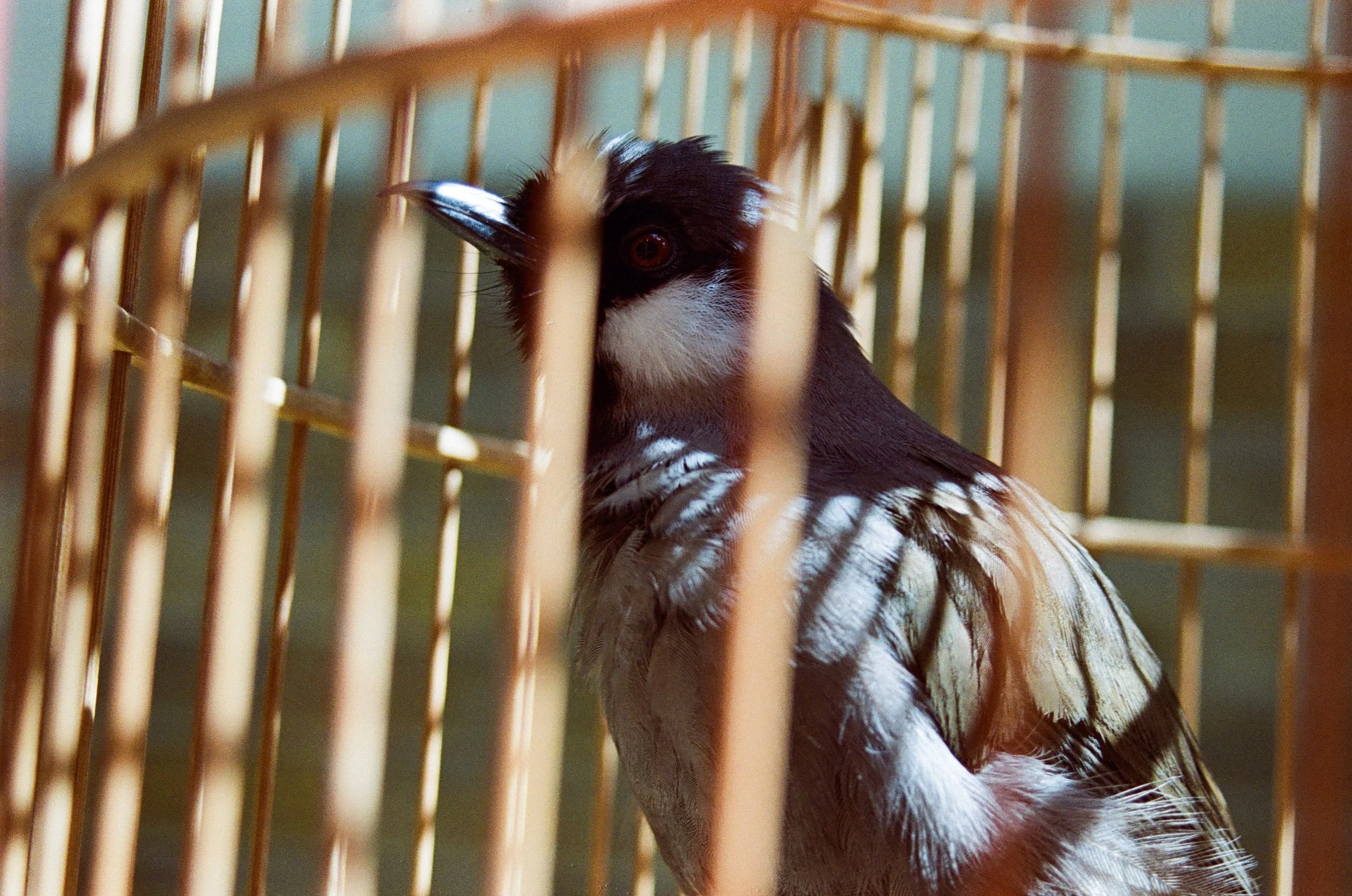 2020-10-25 22-32-01_5593.jpg