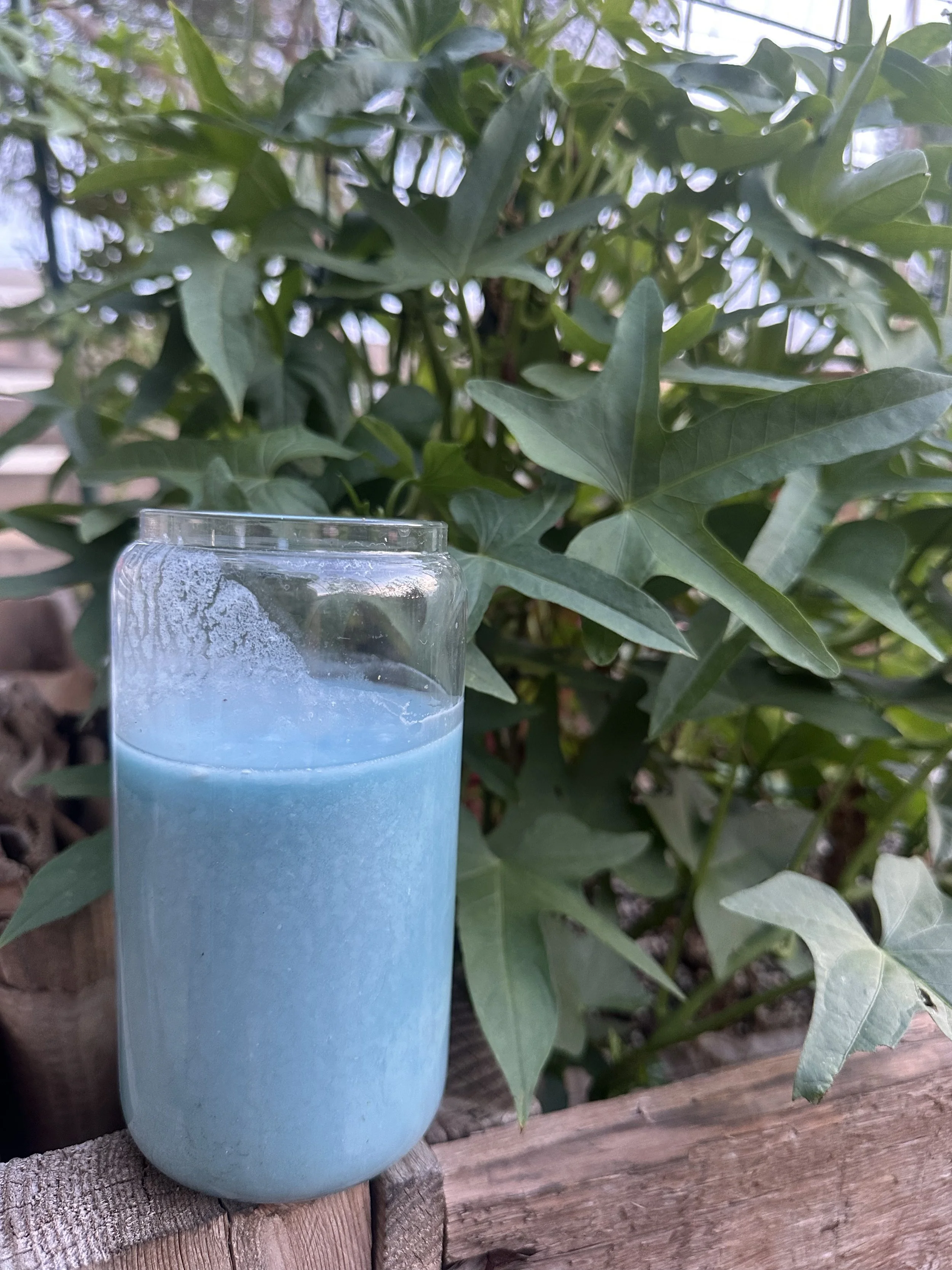 May the force be with you when you drink this herbal blue milk!