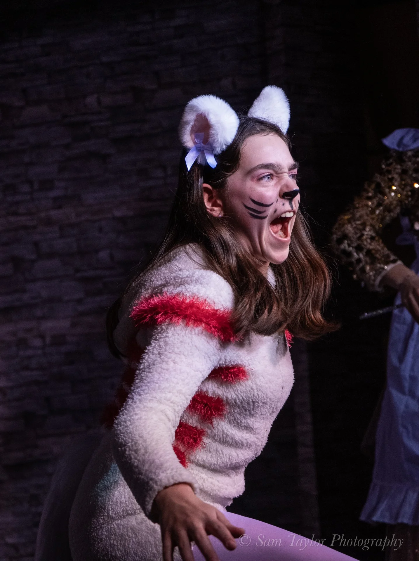 Sleeping Beauty (209).jpg