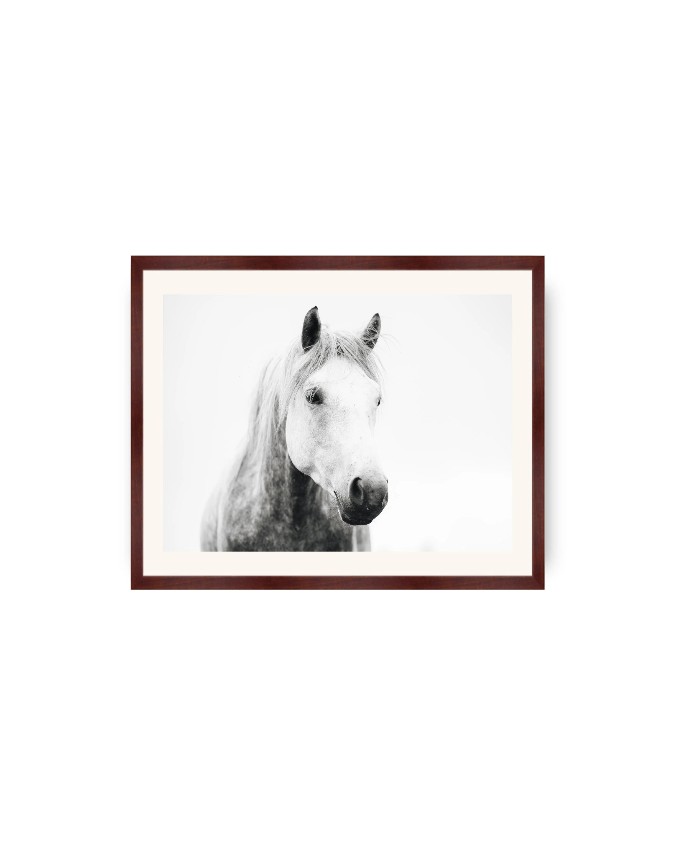 gallery_print_walnut_goose.jpg