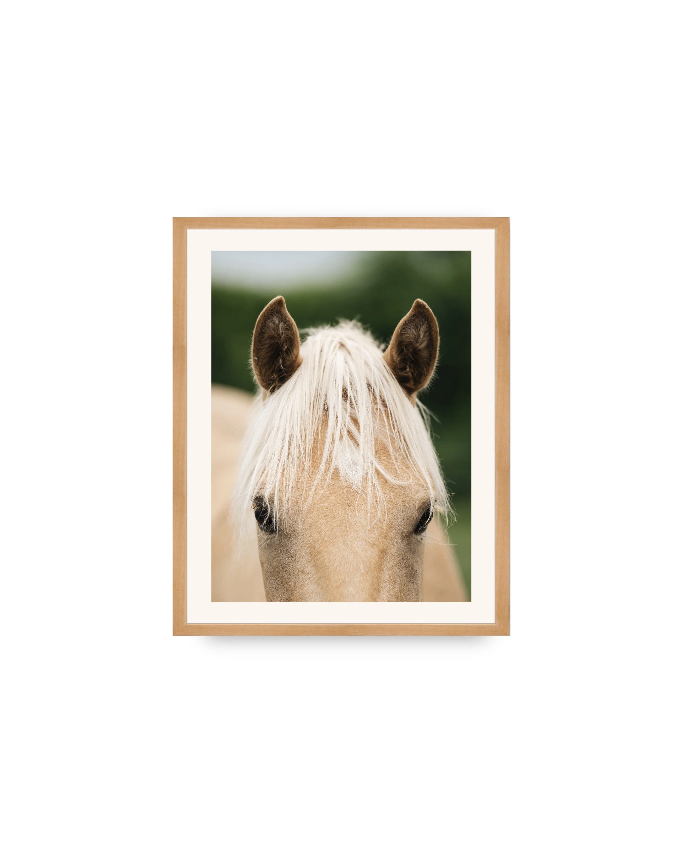 gallery_print_natural_arthur.jpg