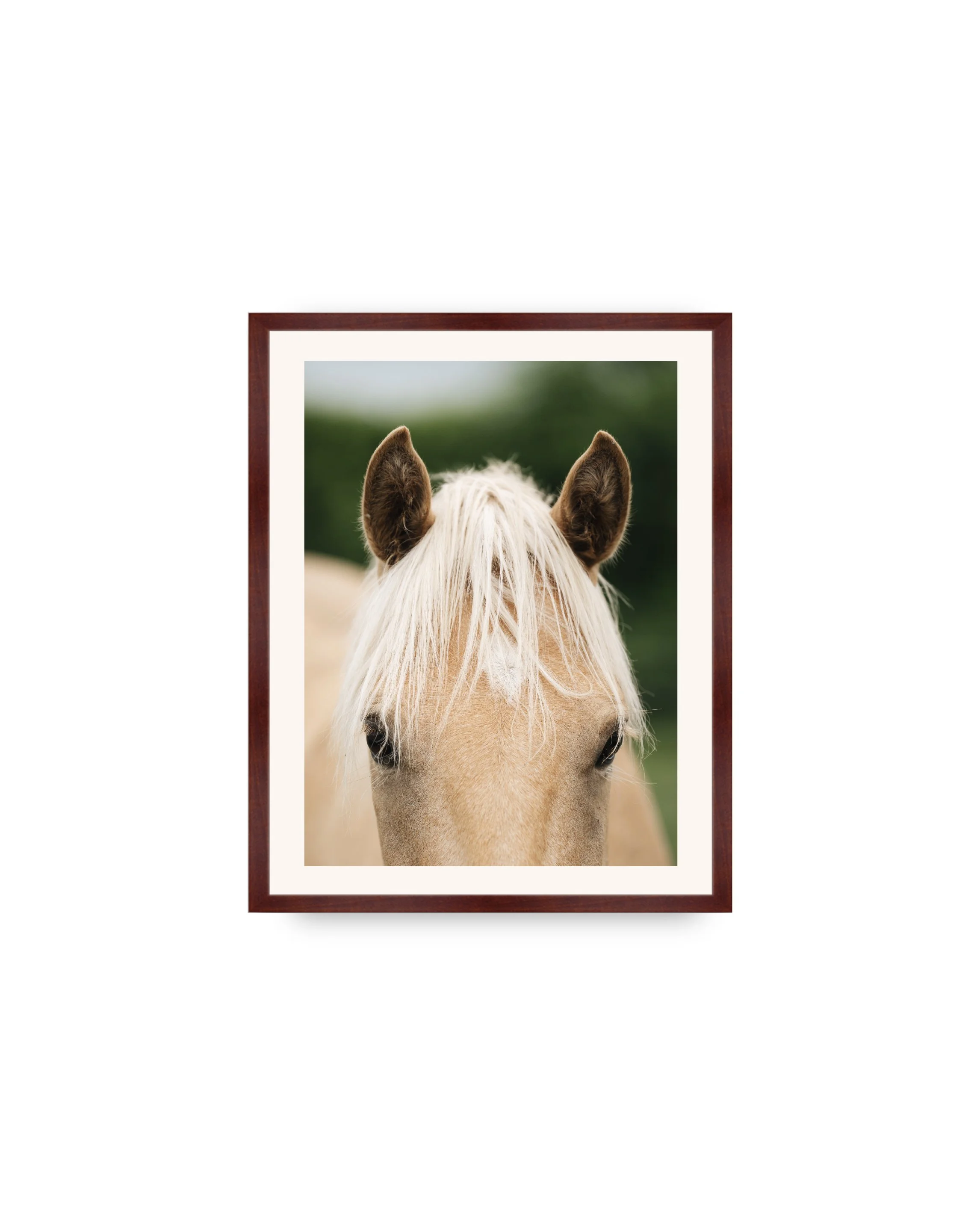 gallery_print_walnut_arthur.jpg