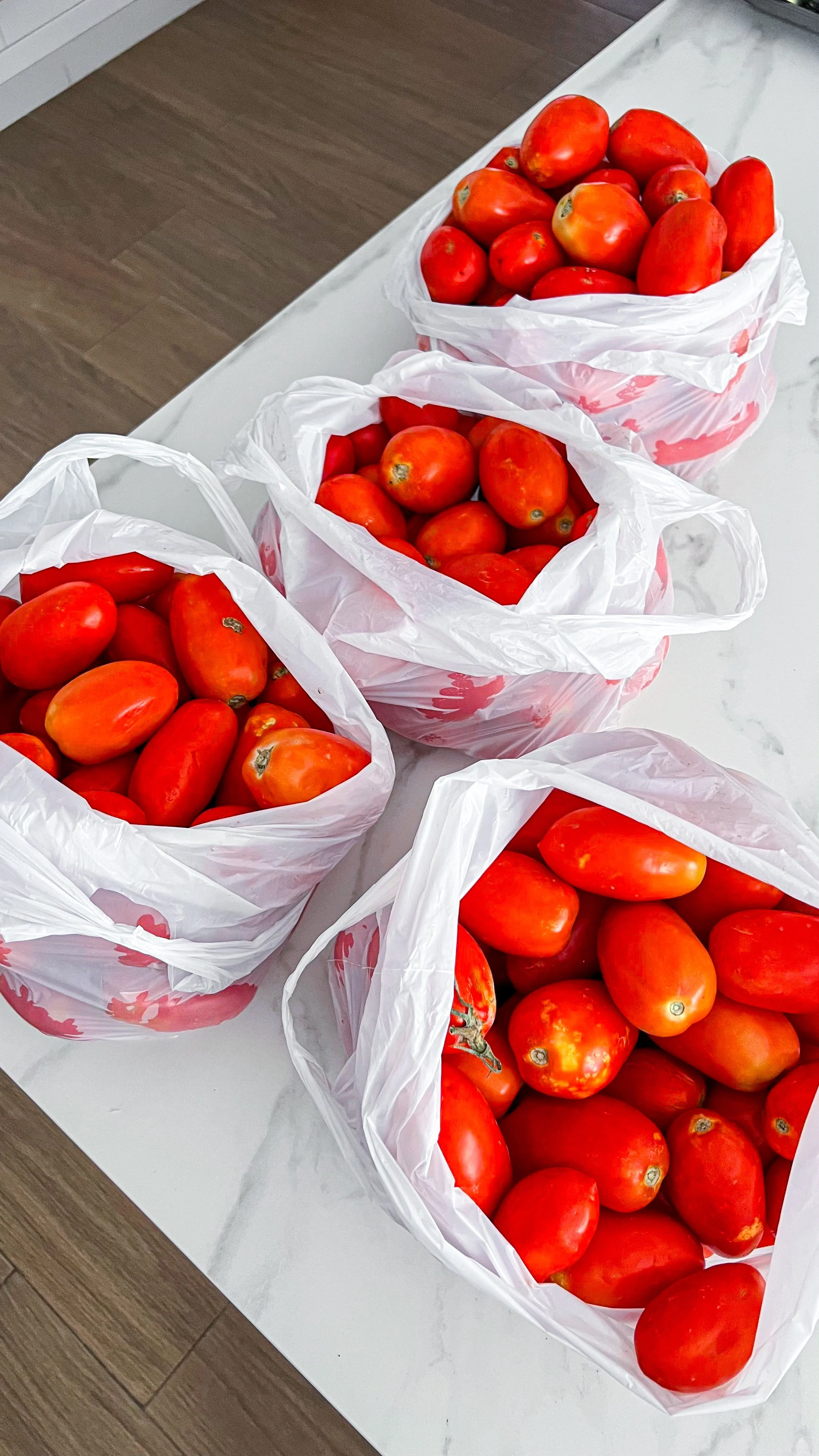 como-hacer-conserva-tomate-8.JPG