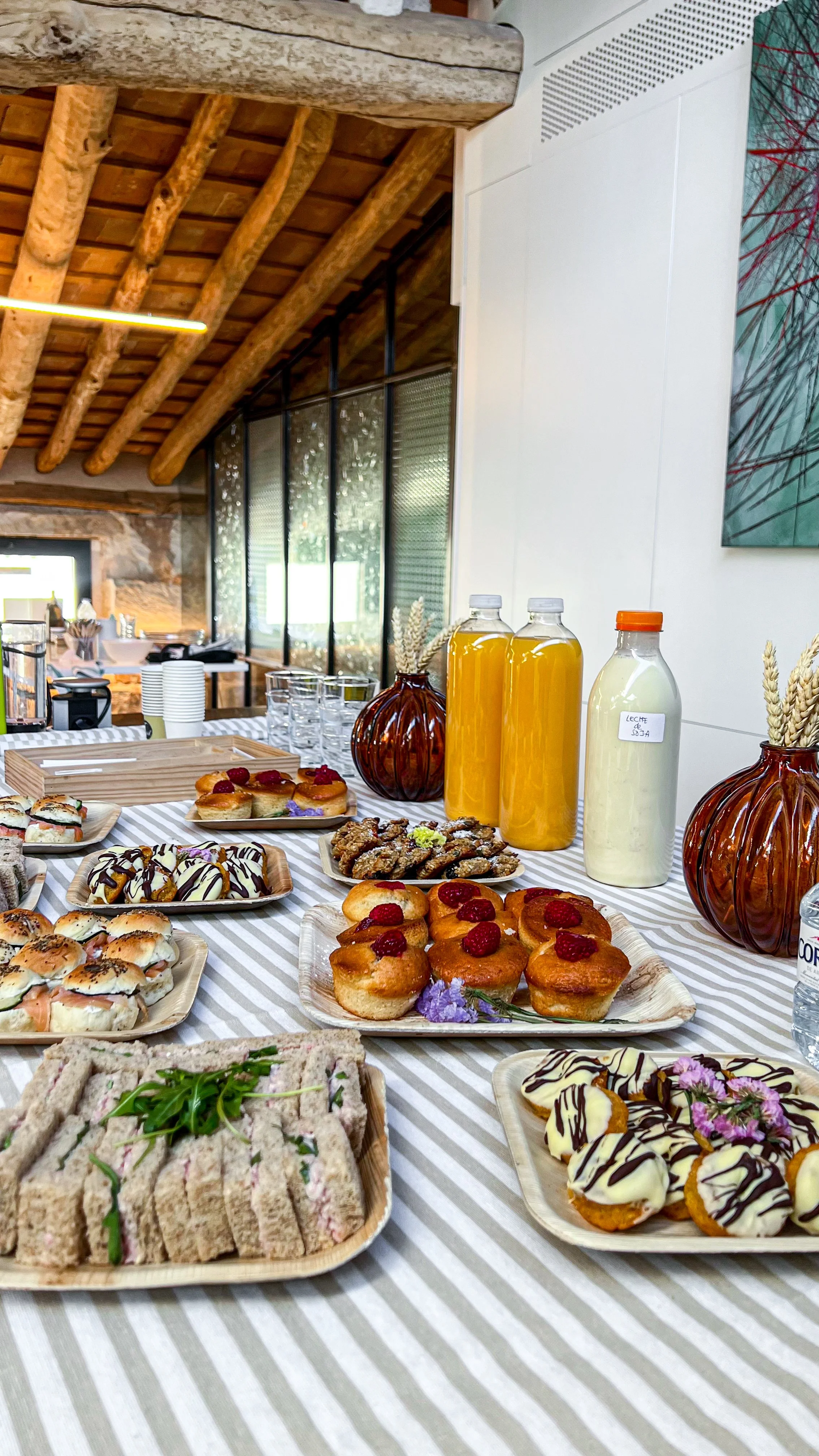 IMG_9926_jpg.jpg (copia)