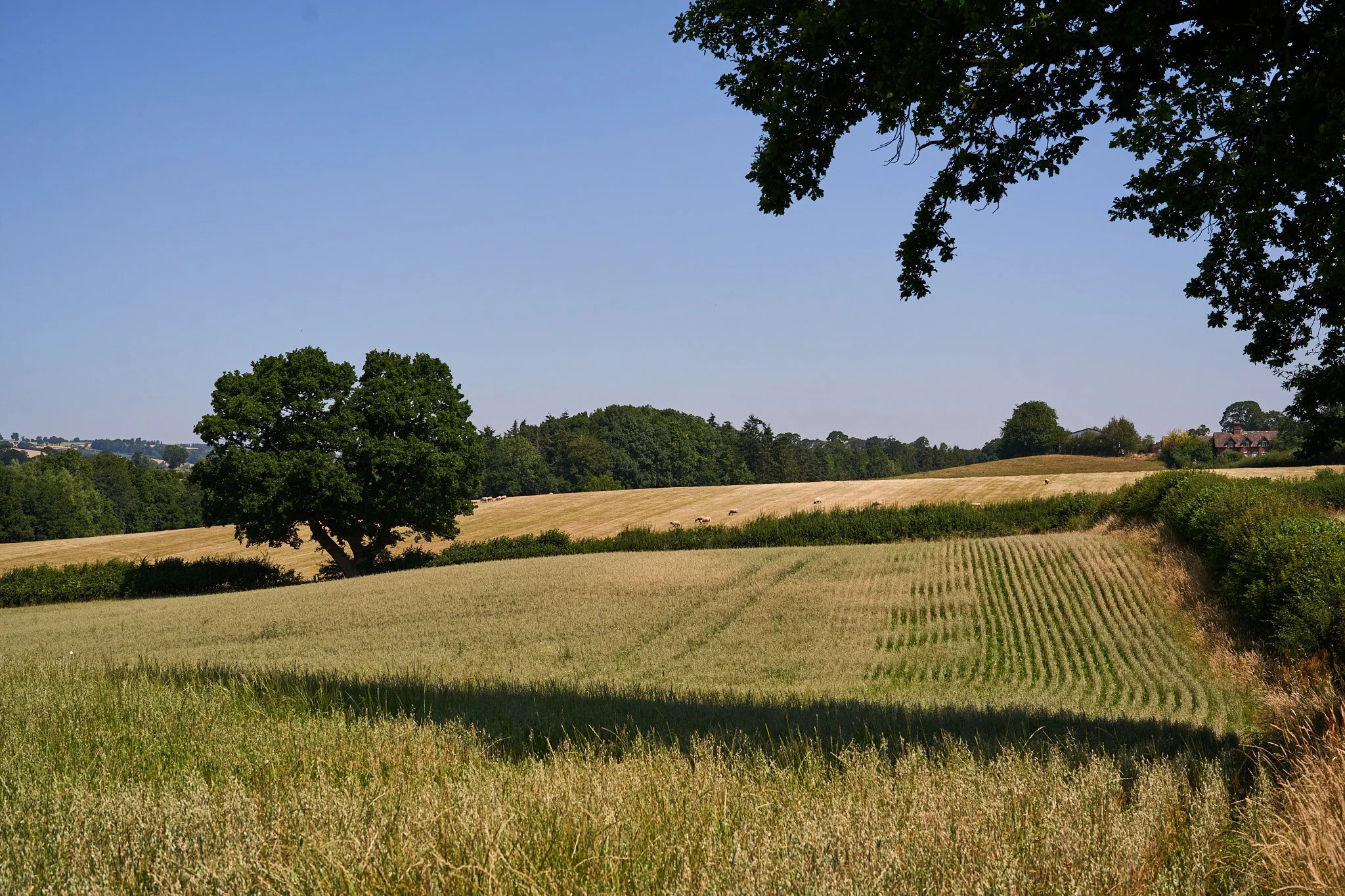 country interiors (21).jpg
