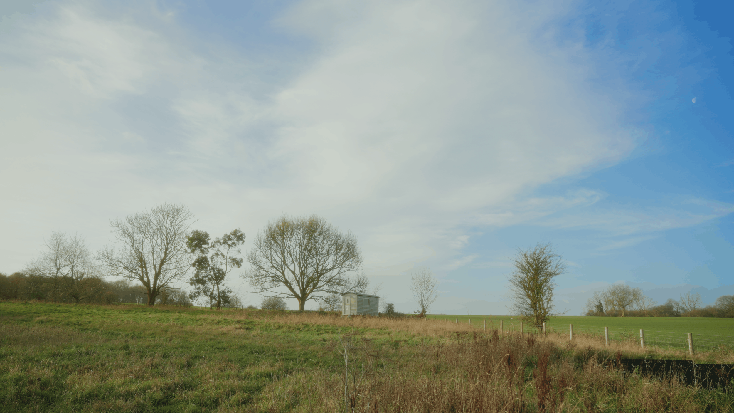 Still 2026-01-22 171252_4.1.2.png