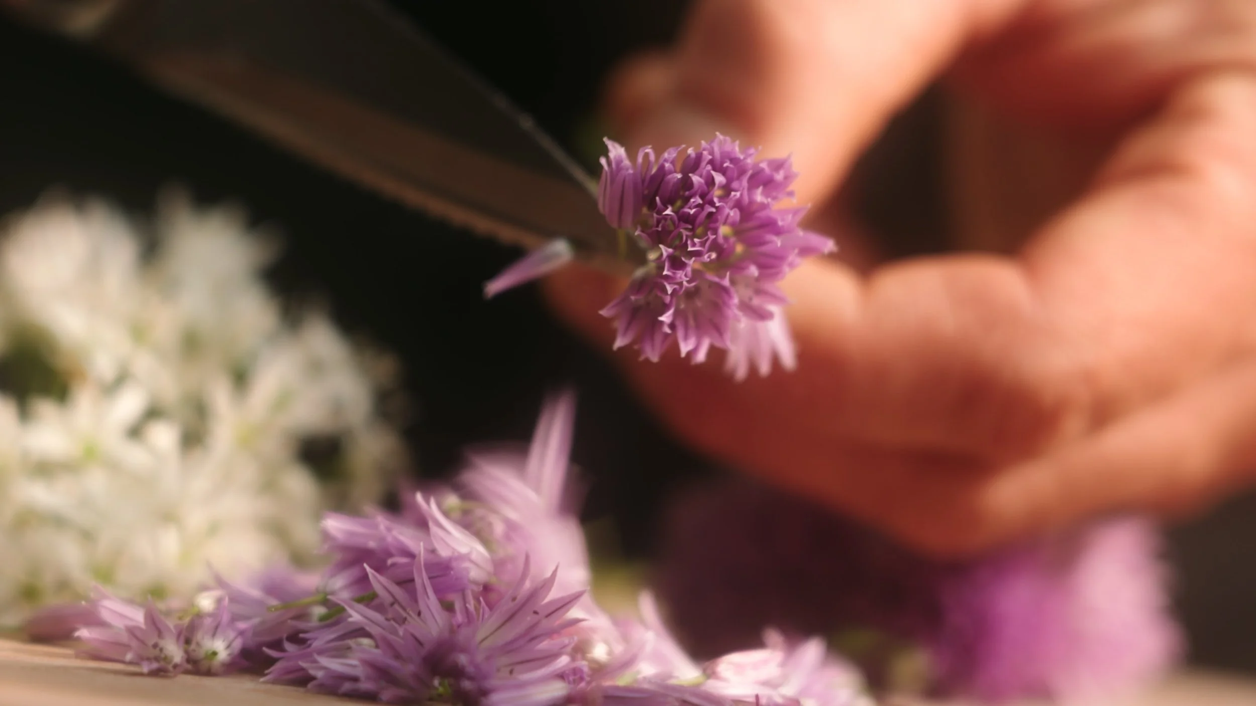 Still 2025-05-28 190000_1.19.1.jpeg