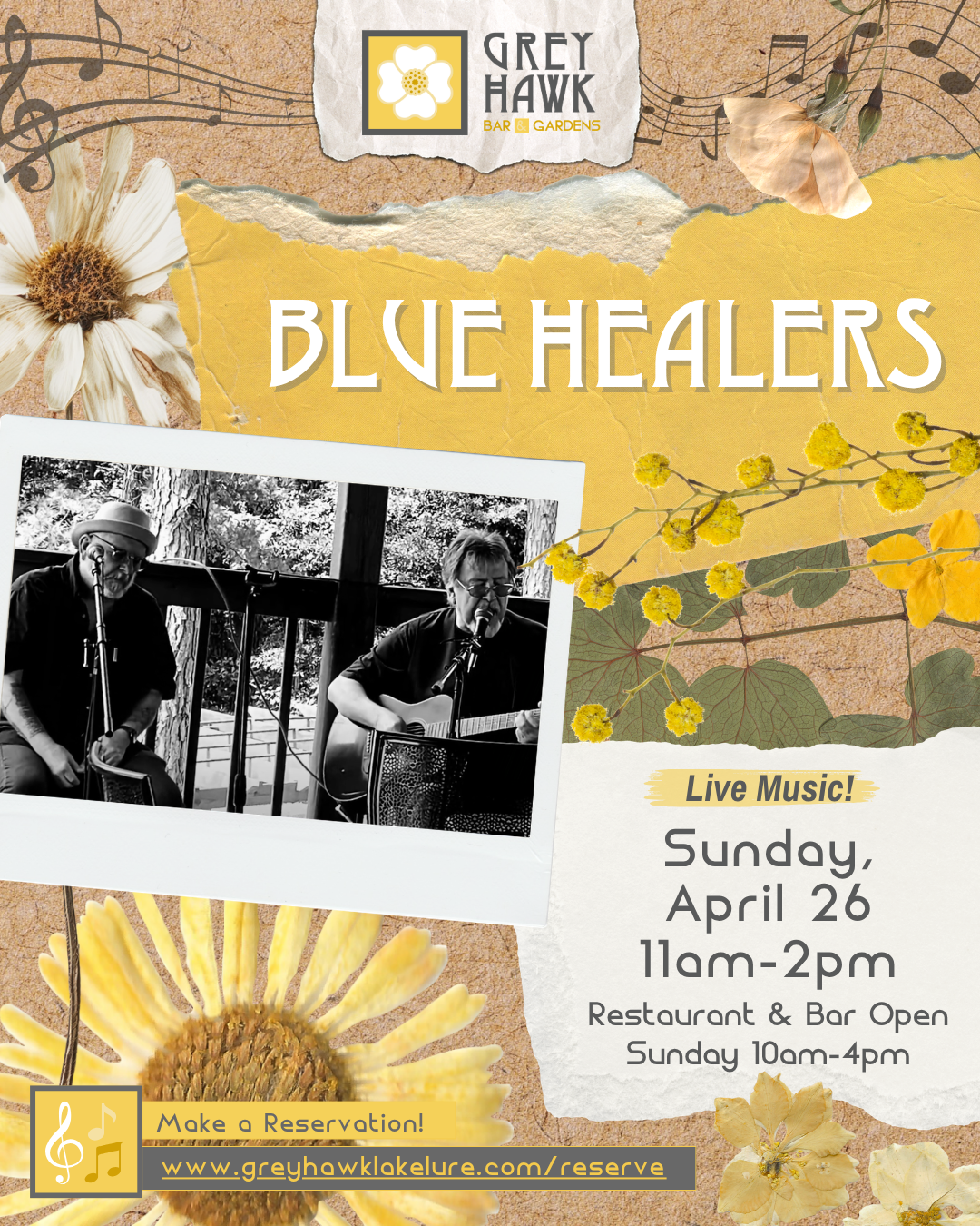 Blue Healers