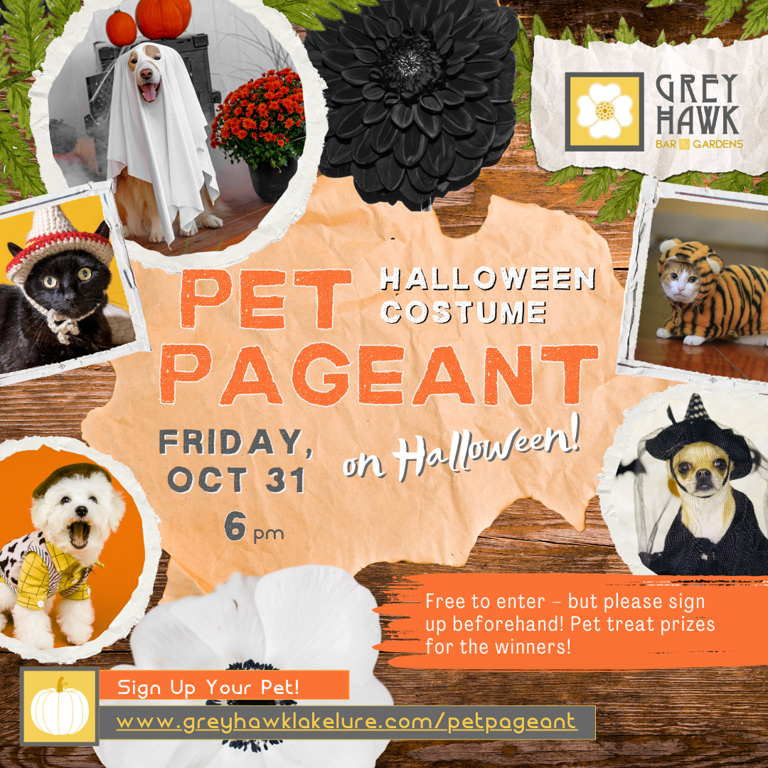 Pet Halloween Costume Pageant