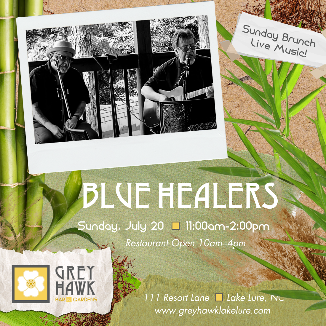 Blue Healers