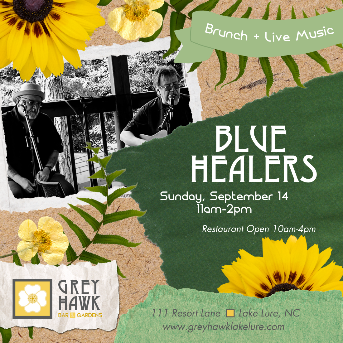 Blue Healers