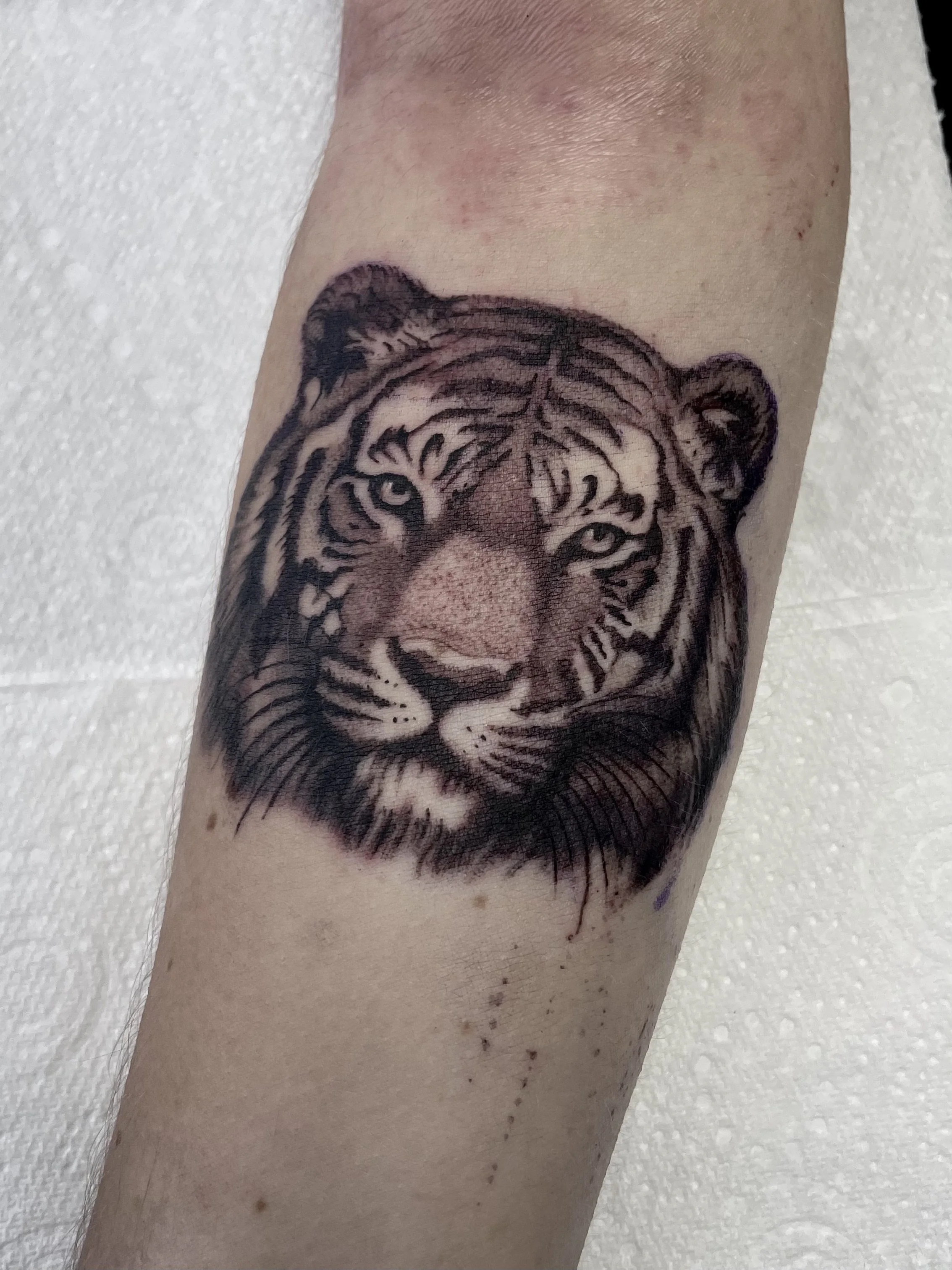 By Liam Harbison