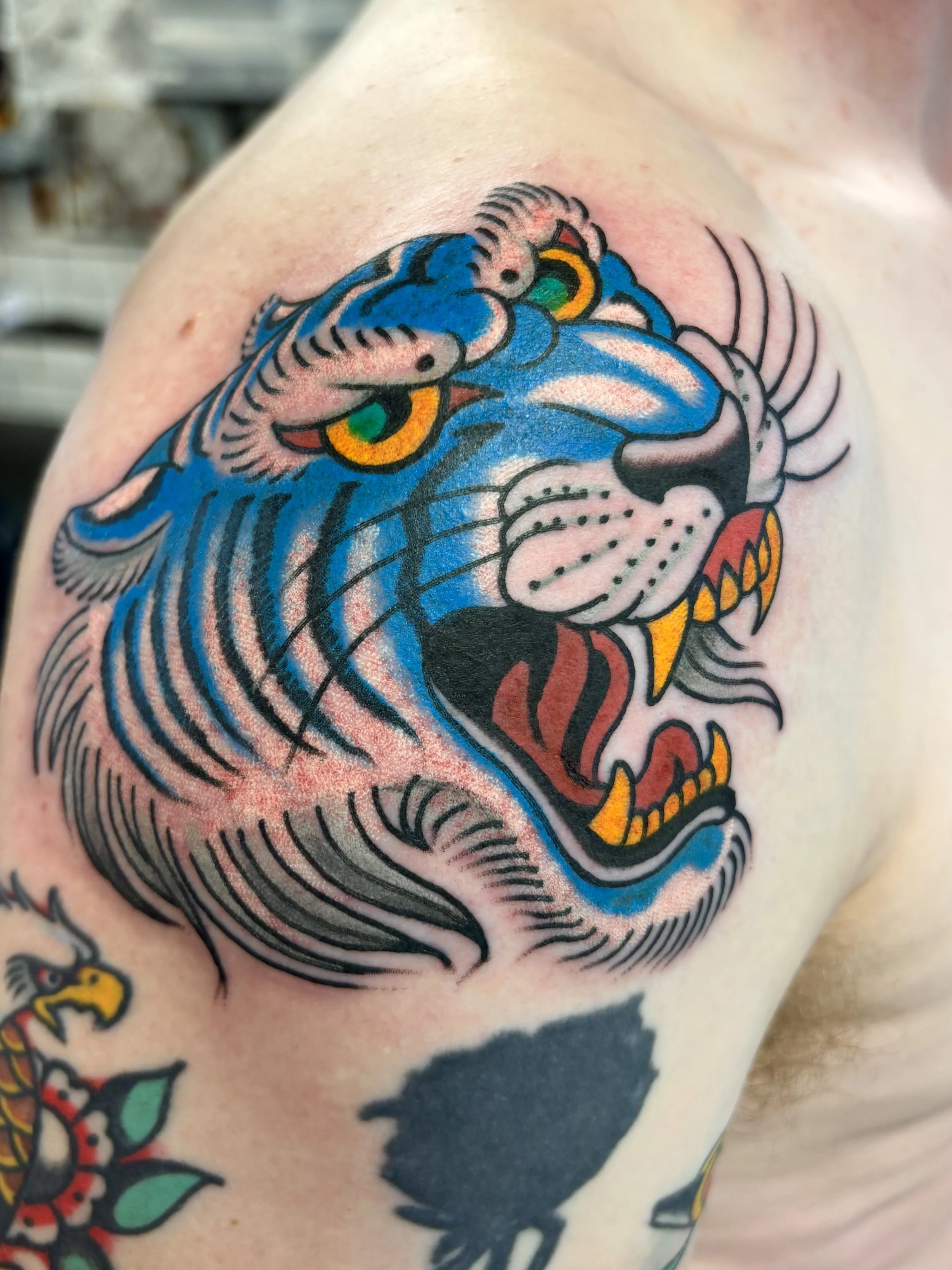 By Liam Harbison