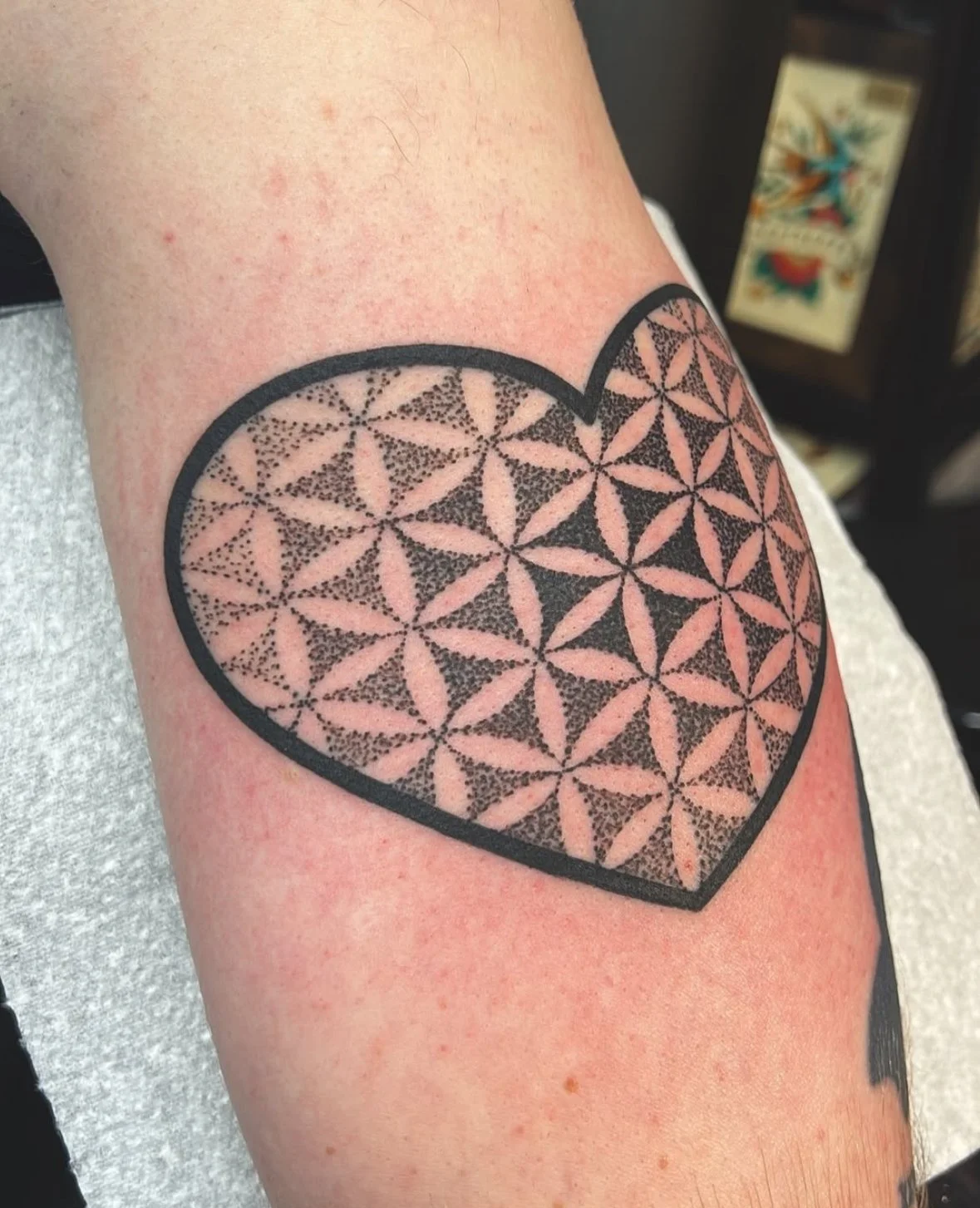 By J.Betts