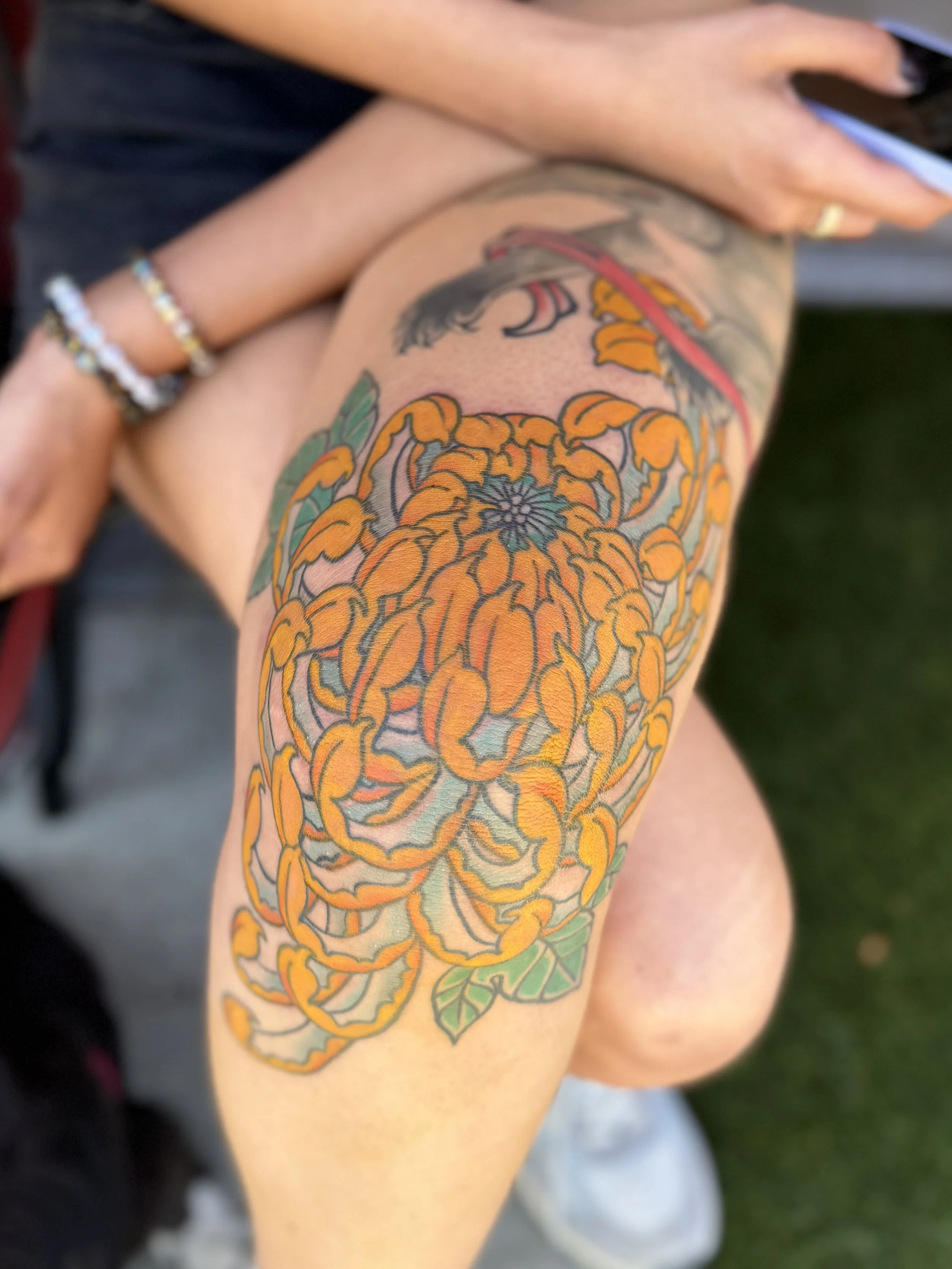 Yellow chrysanthemum tattoo on the knee by James Cass at Black Letter Tattoo Company