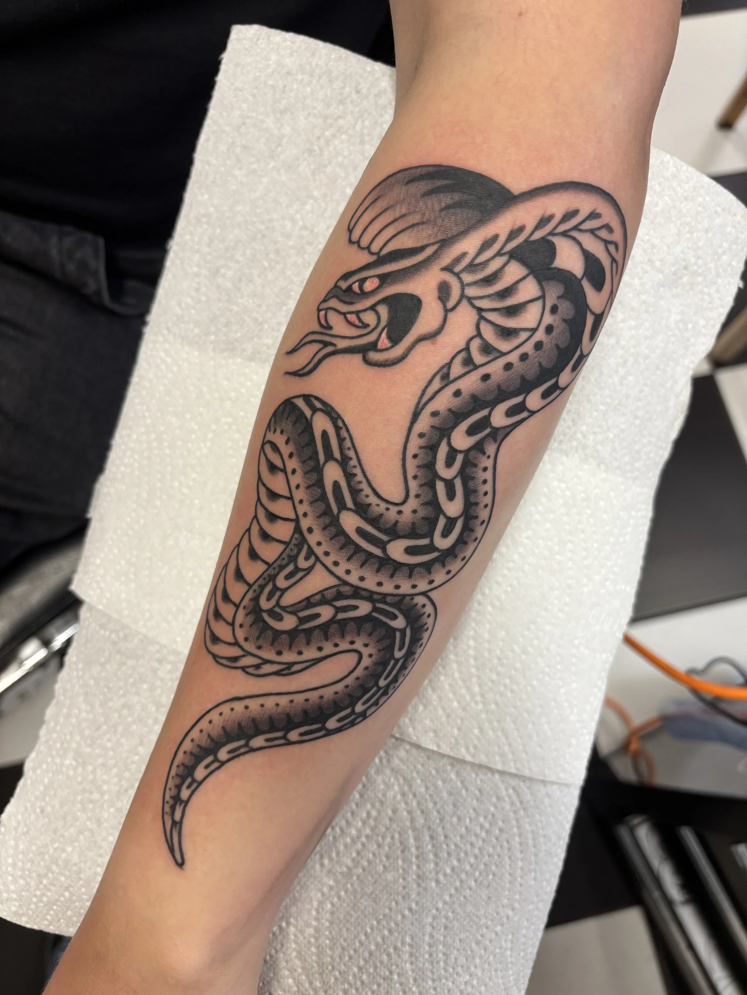 By Liam Harbison