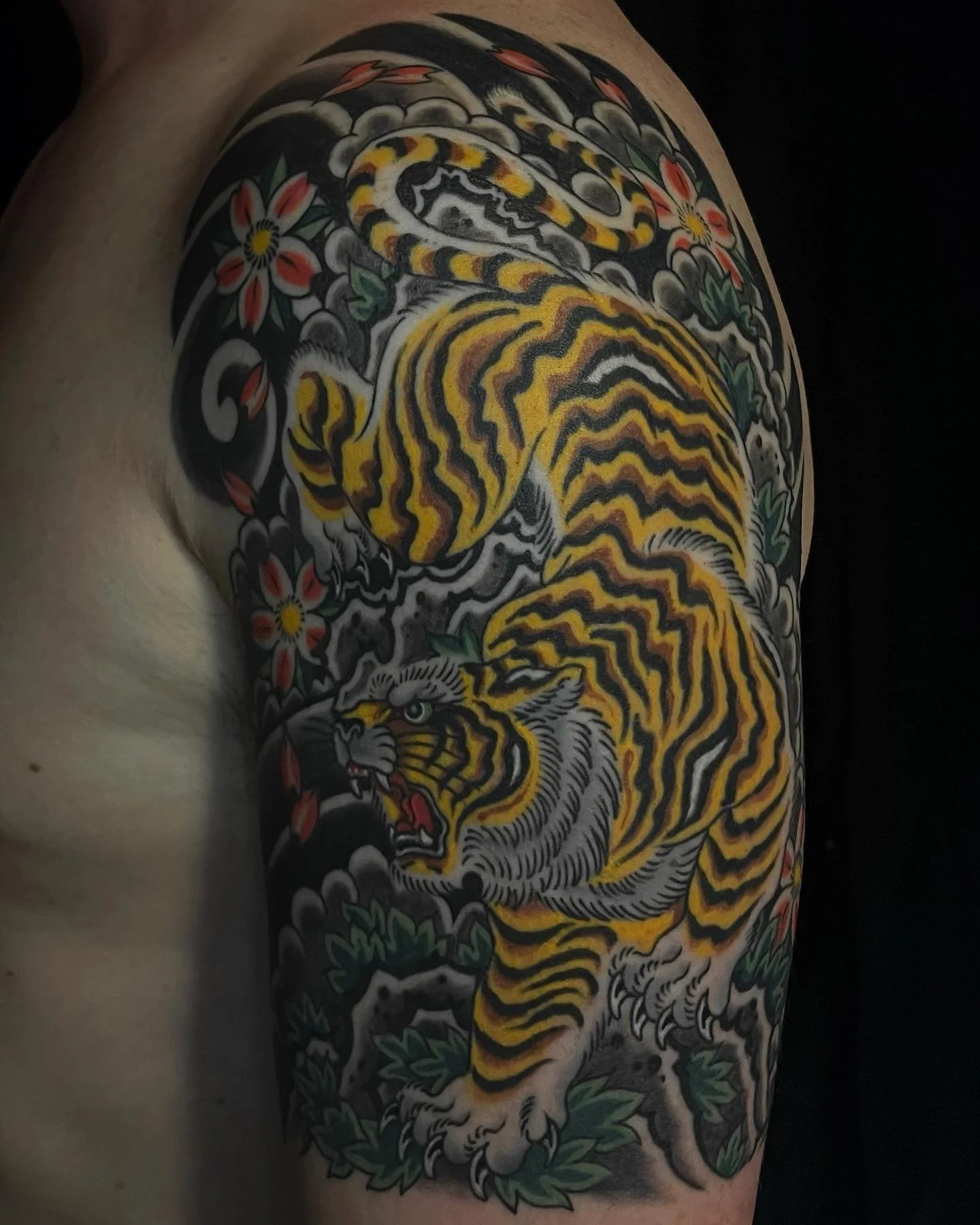 By Liam Harbison