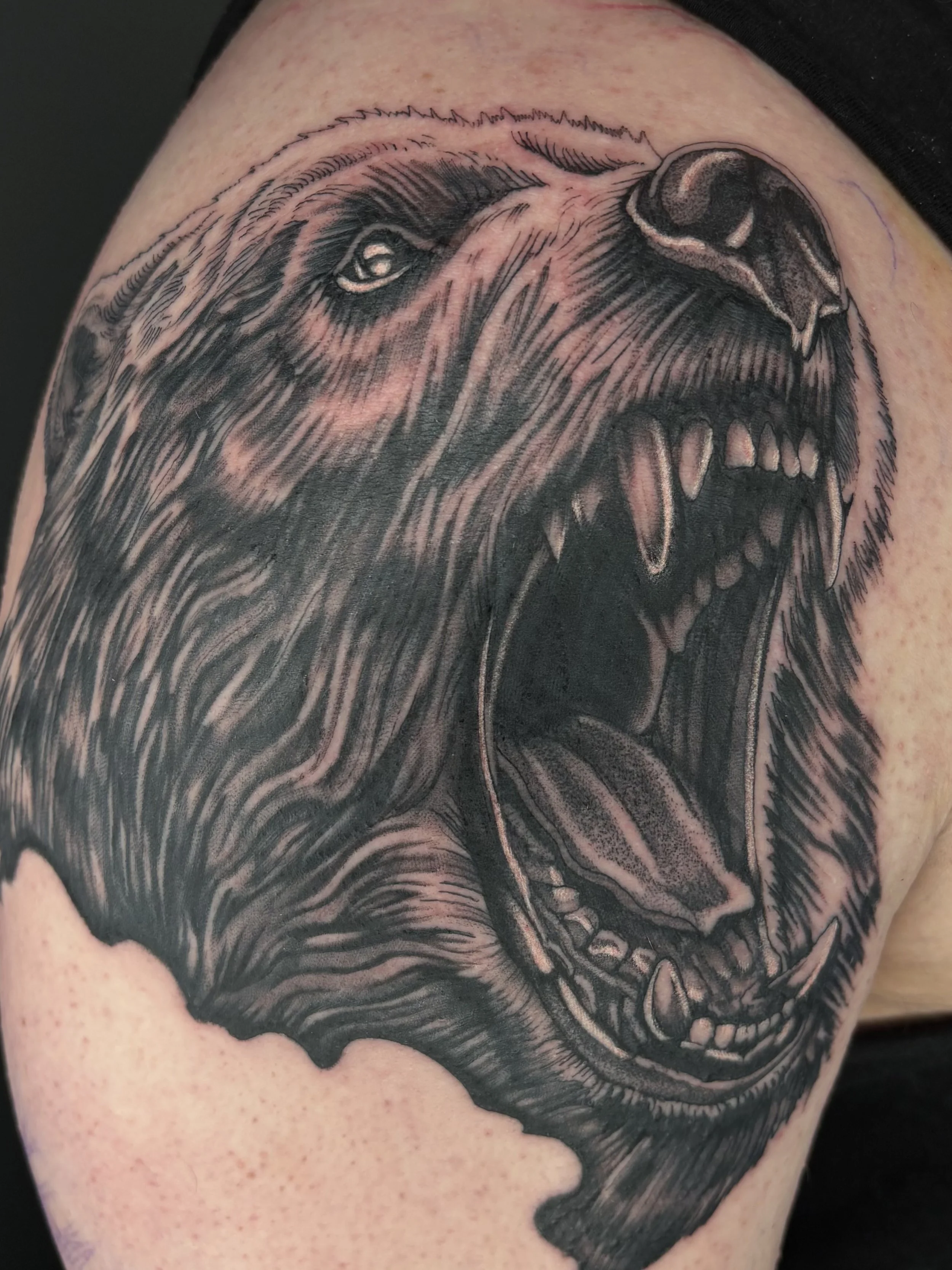 By Liam Harbison