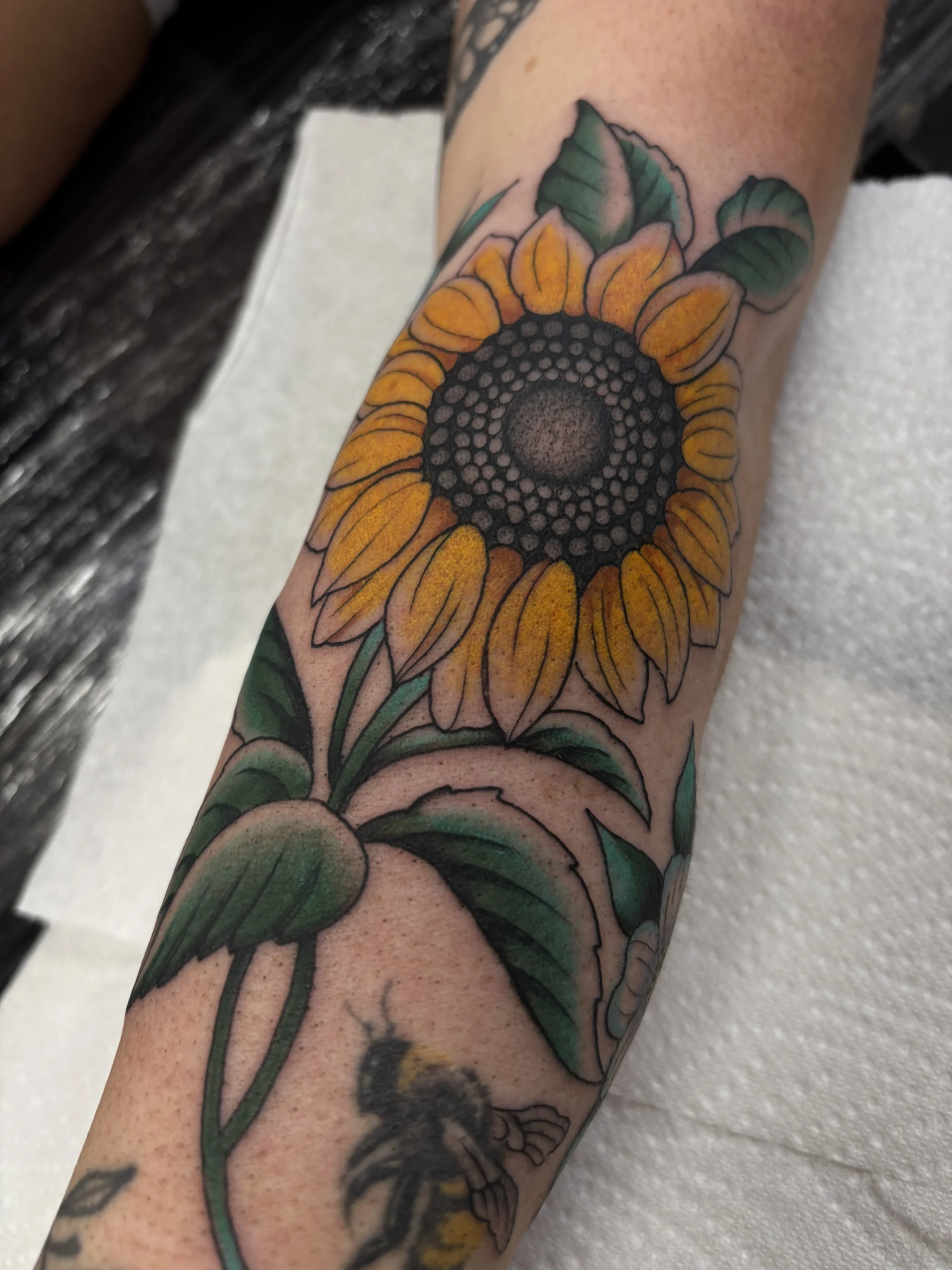 By Liam Harbison