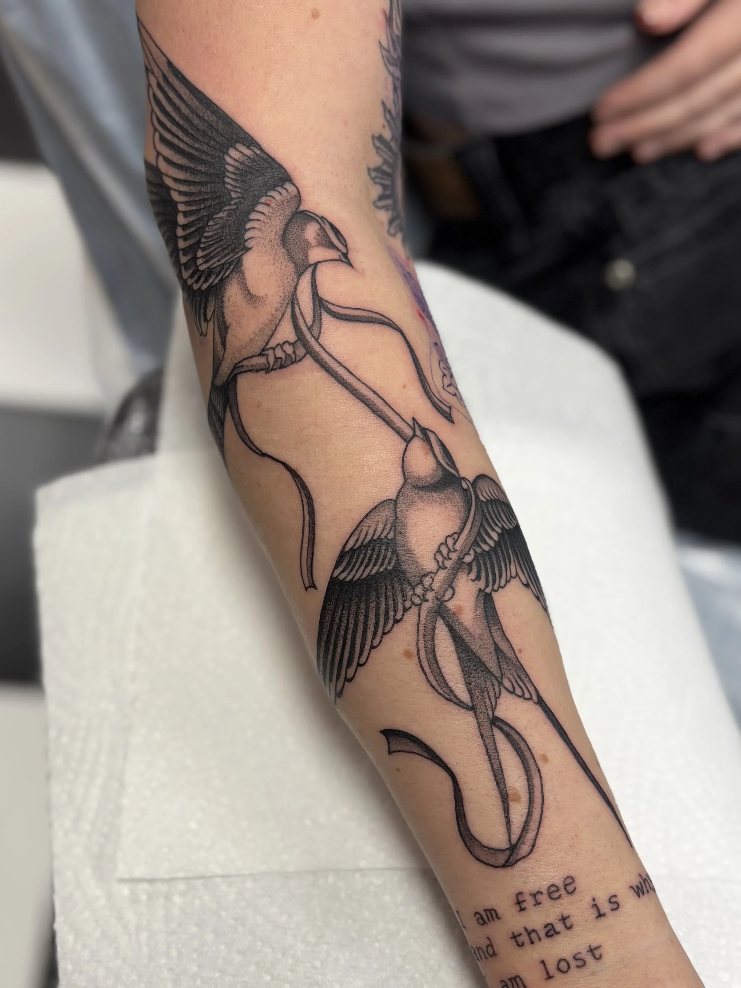 By Liam Harbison