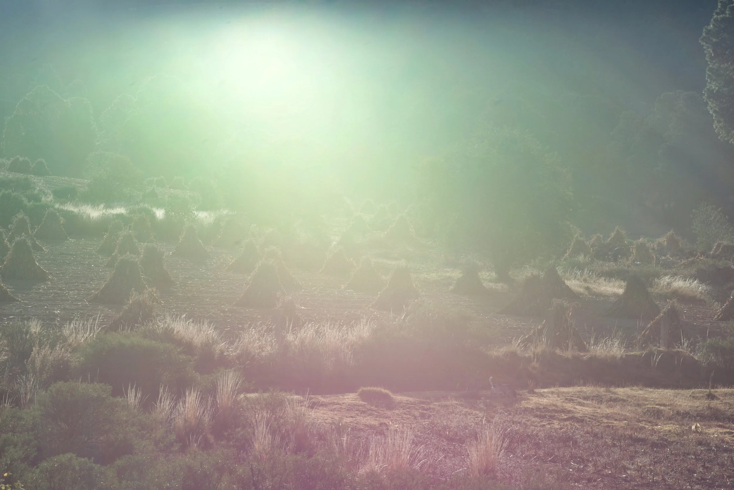 Sunset over hay stacks, Orizaba, Mexico