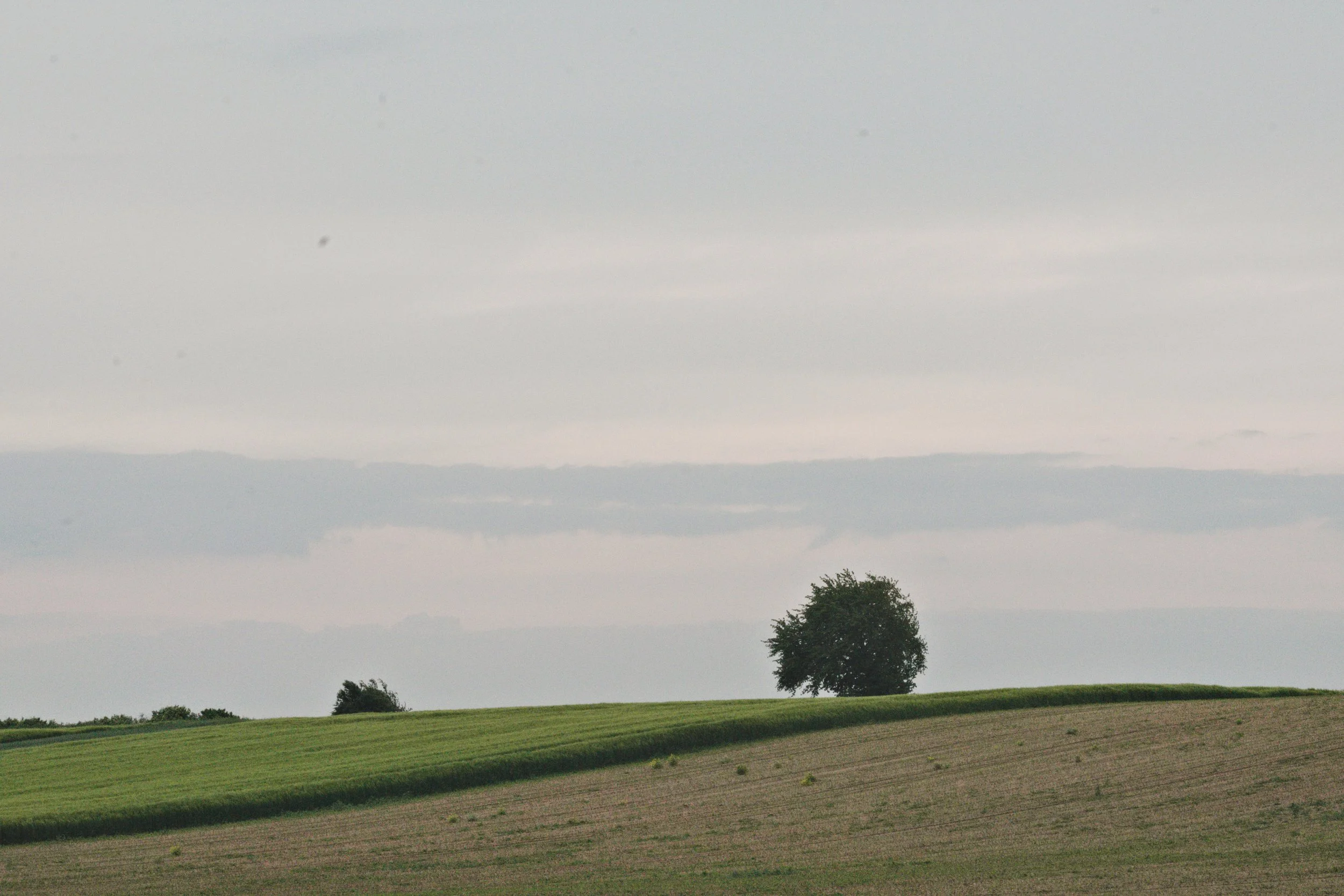Landscape, Bernes, Switzerland