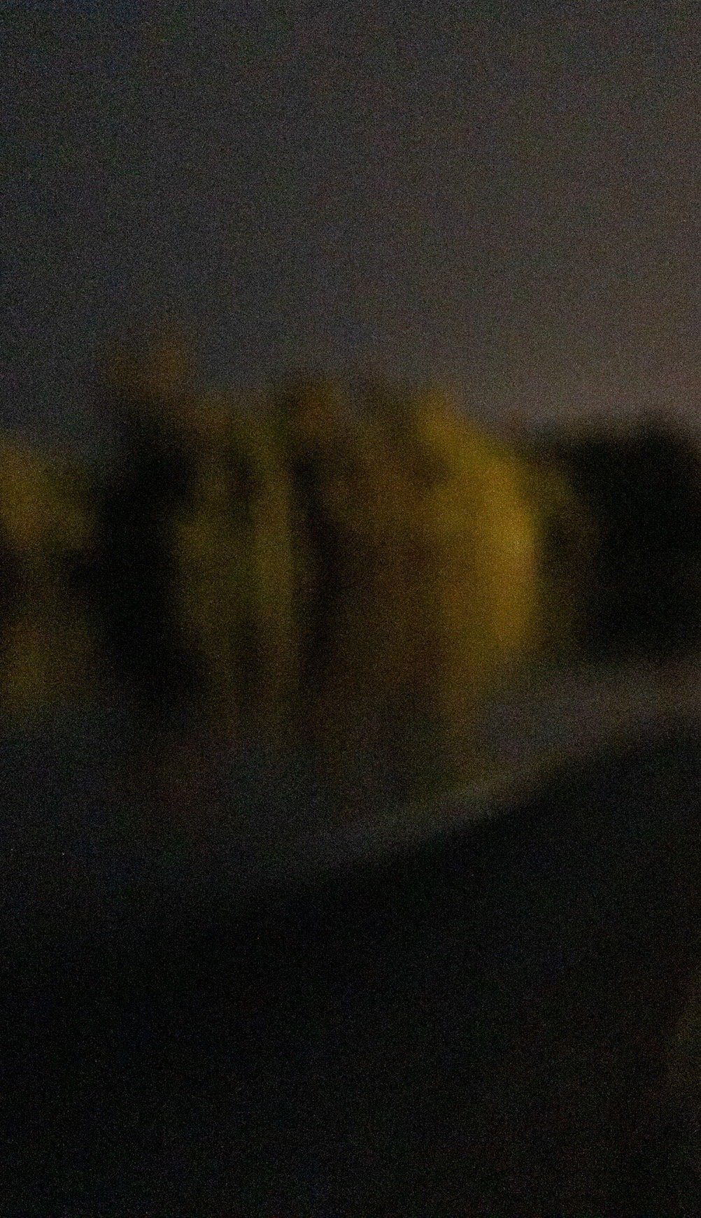 Reflection of a tree, Assinie, Ivory Coast