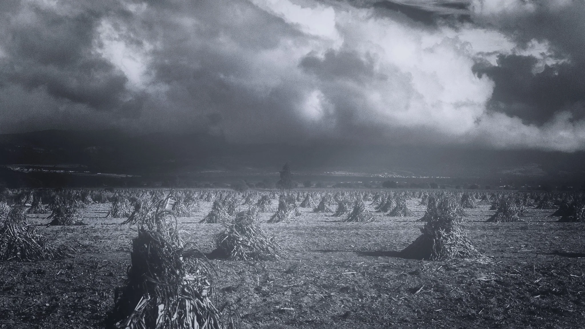 Hay stacks, Orizaba, Mexico