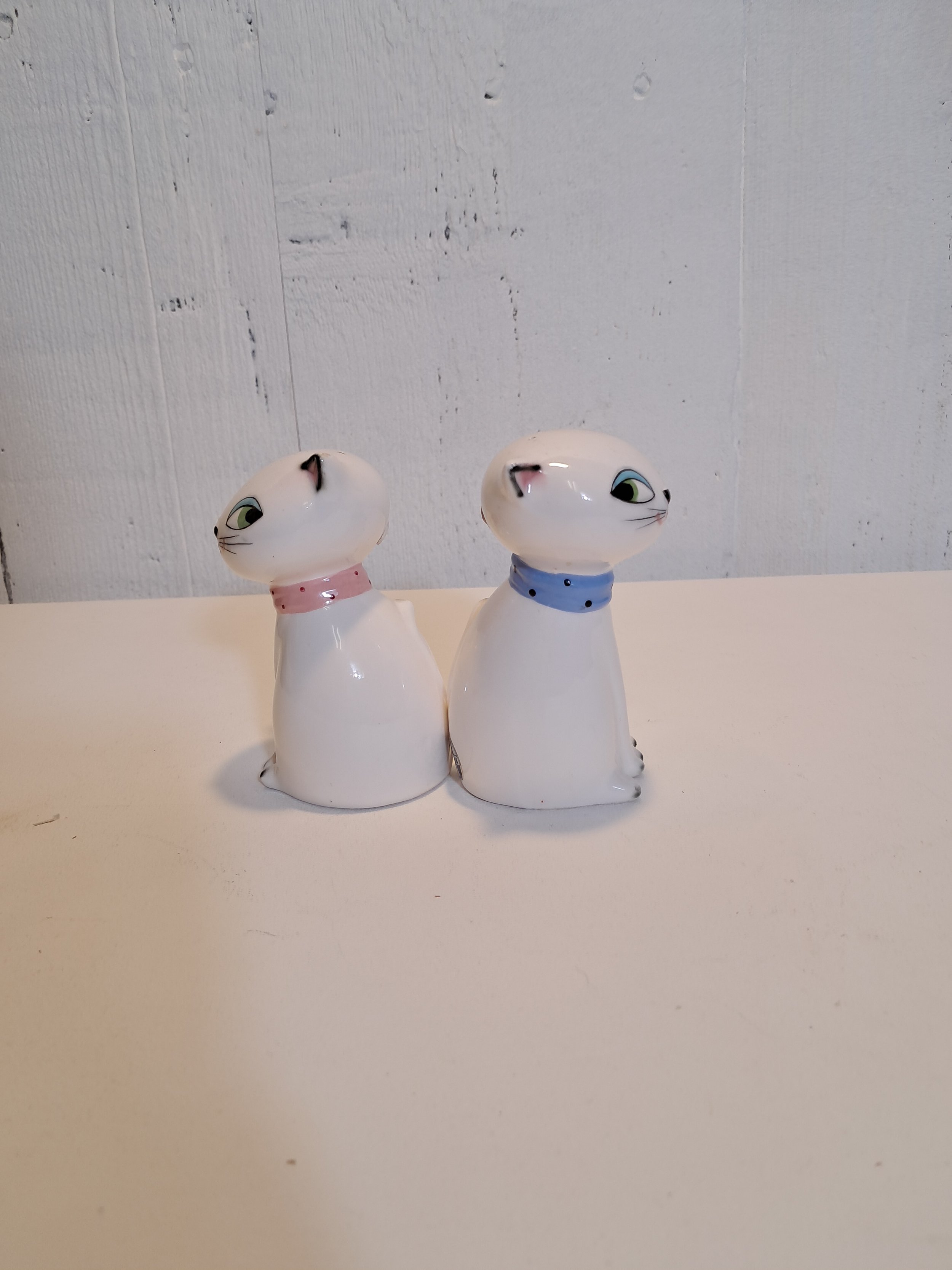 20250518_122839.jpg