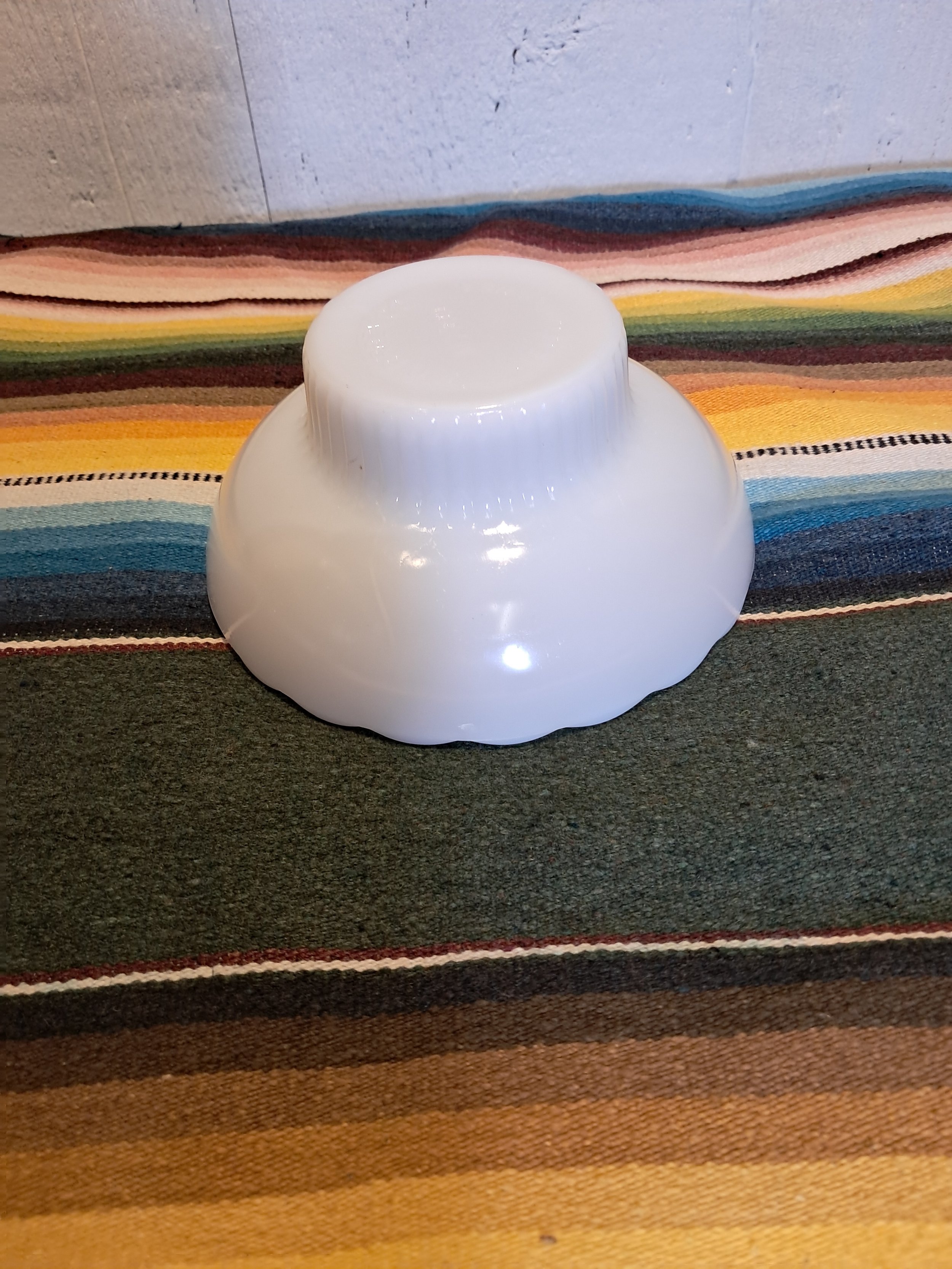 20250426_114441.jpg