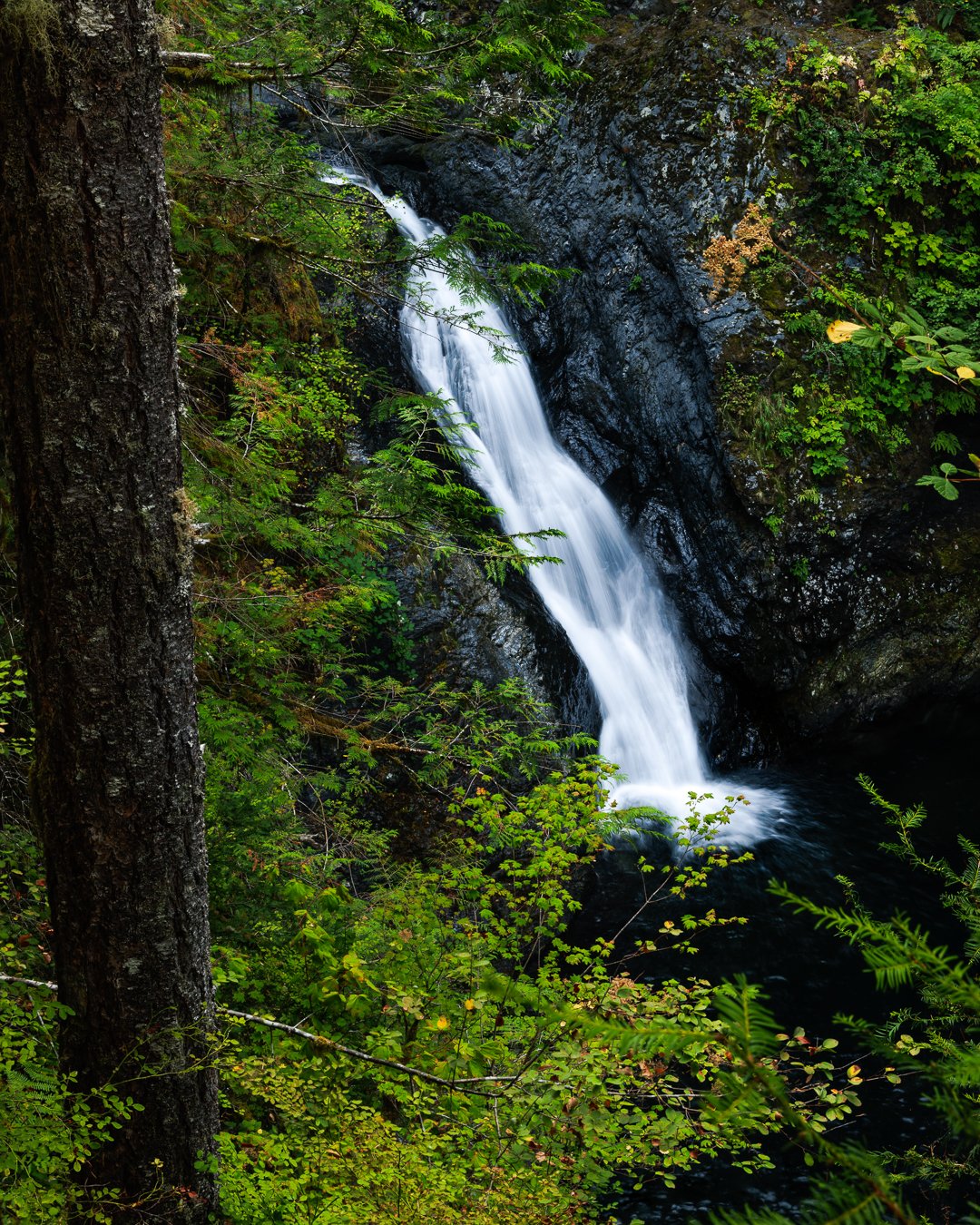 Wallace Middle Falls.jpg