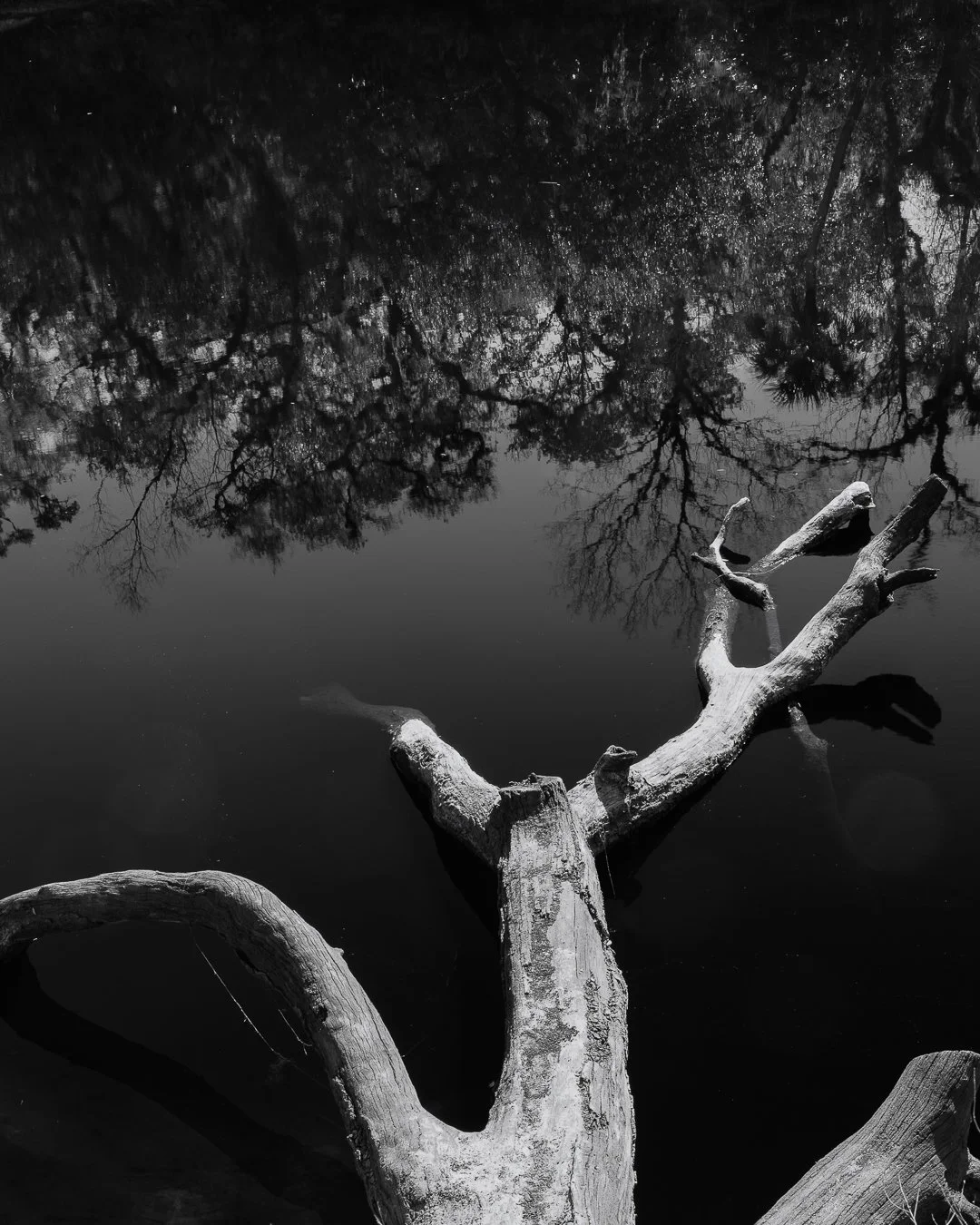 Reflection.