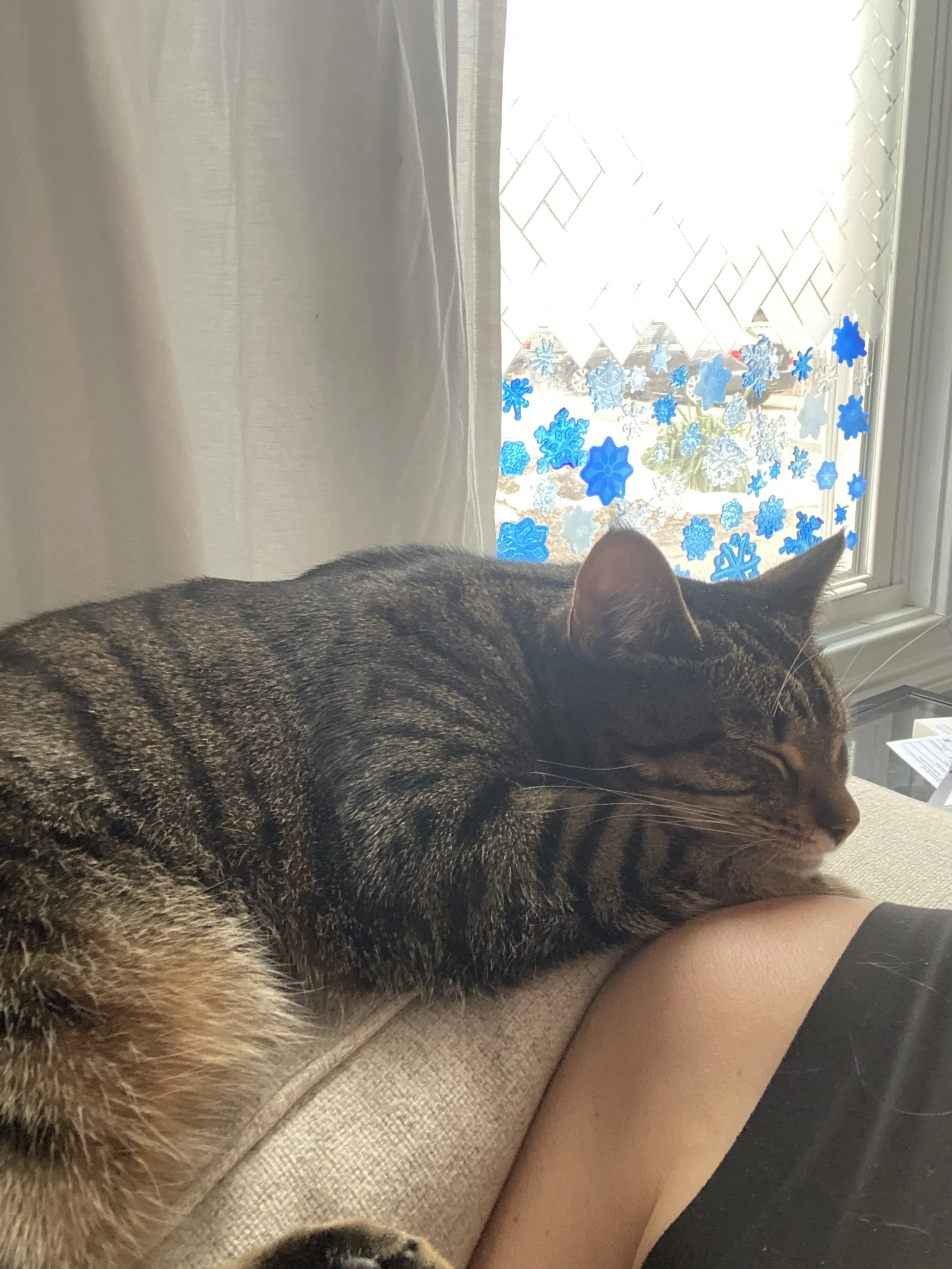 Days 48 & 49: Flu (cont.)