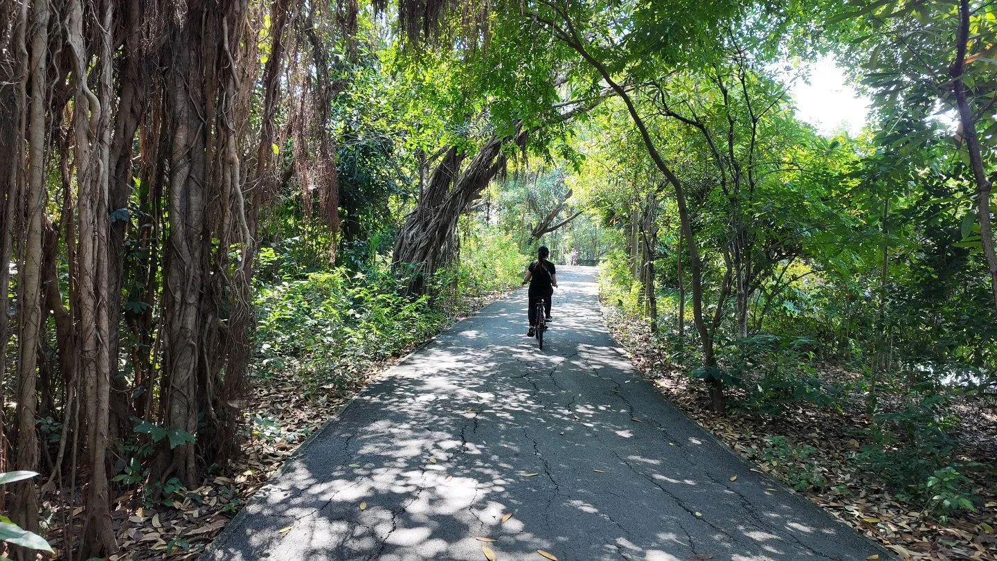 Apr&egrave;s quelques jours dans la dense ville de Bangkok, nous voulions un peu de calme et de s&eacute;r&eacute;nit&eacute;. 

Nous avons pris un ferry et nous nous sommes rendus sur l&rsquo;&icirc;le Bang Kachao qui est surnomm&eacute;e le poumon 
