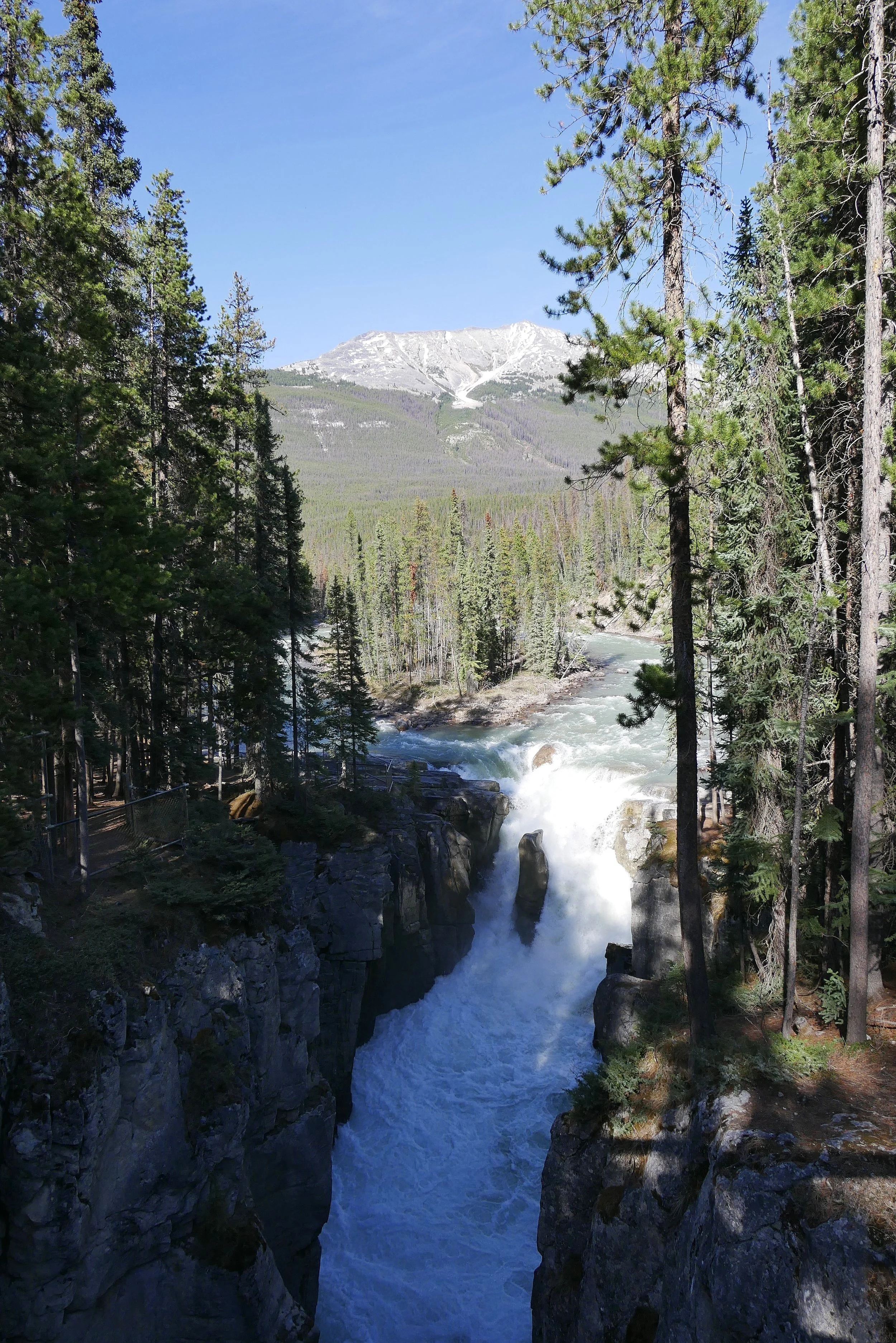 Les chutes Sunwapta