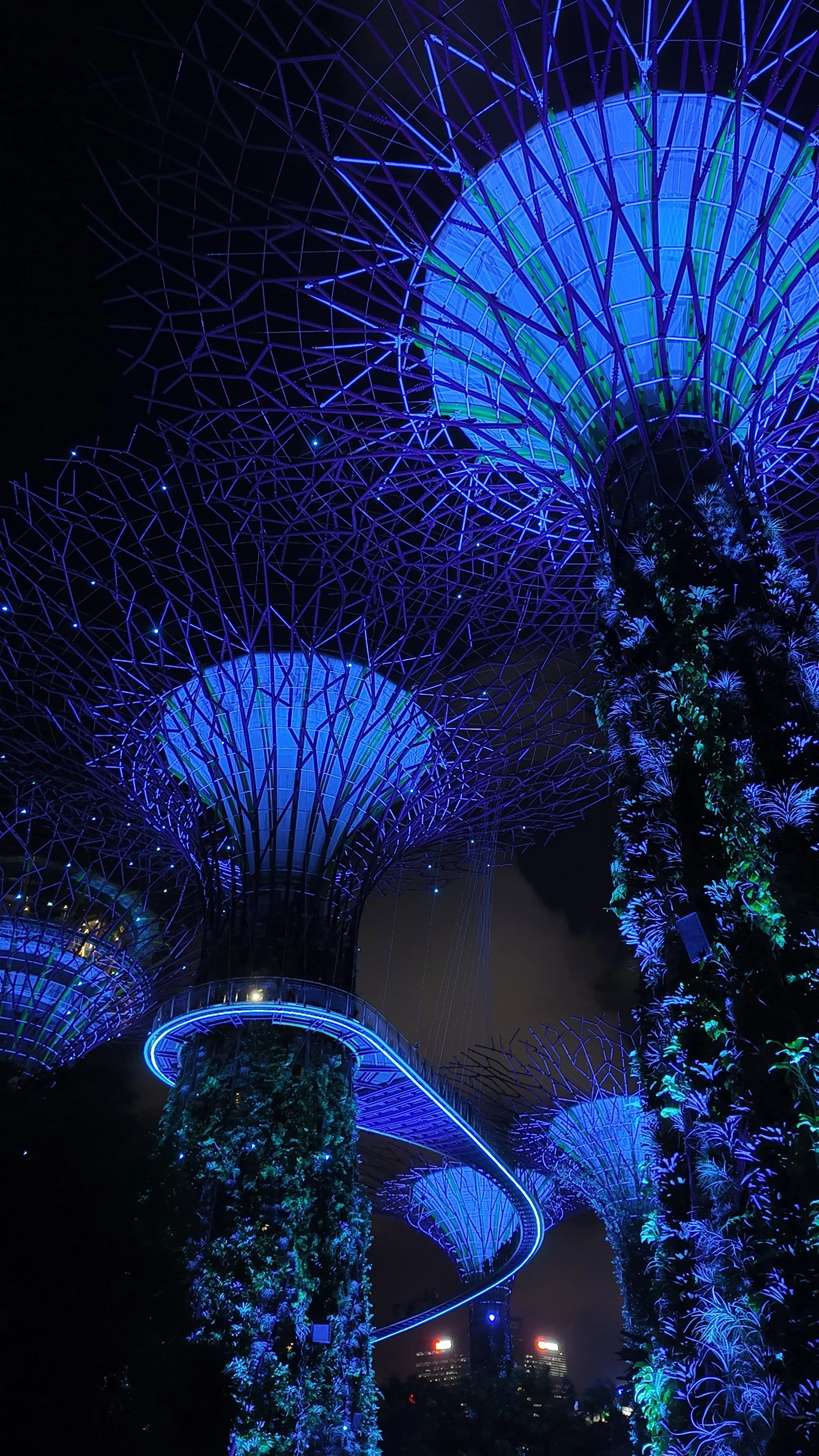 Arbres futuristes de Singapour