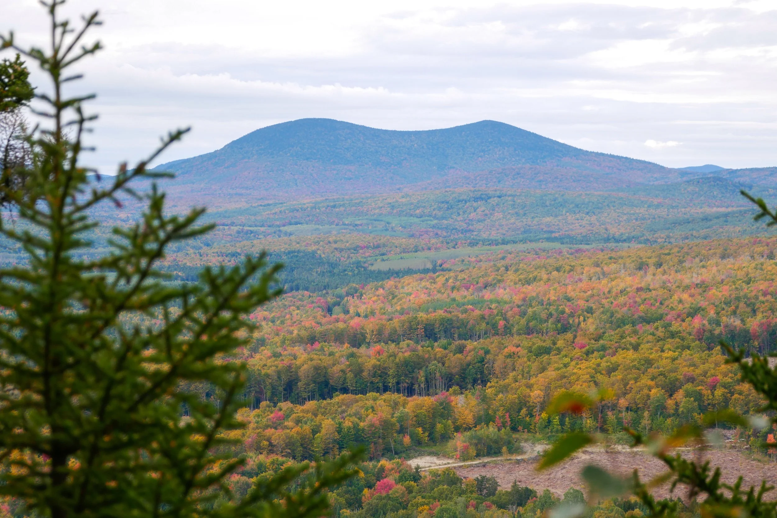 Un point de vue du mont Scotch Cap