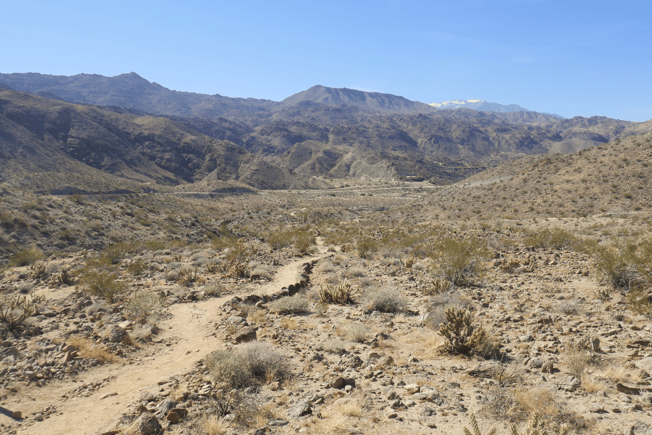 Un des nombreux entiers du Santa Rosa & San Jacinto Mountains National Monument