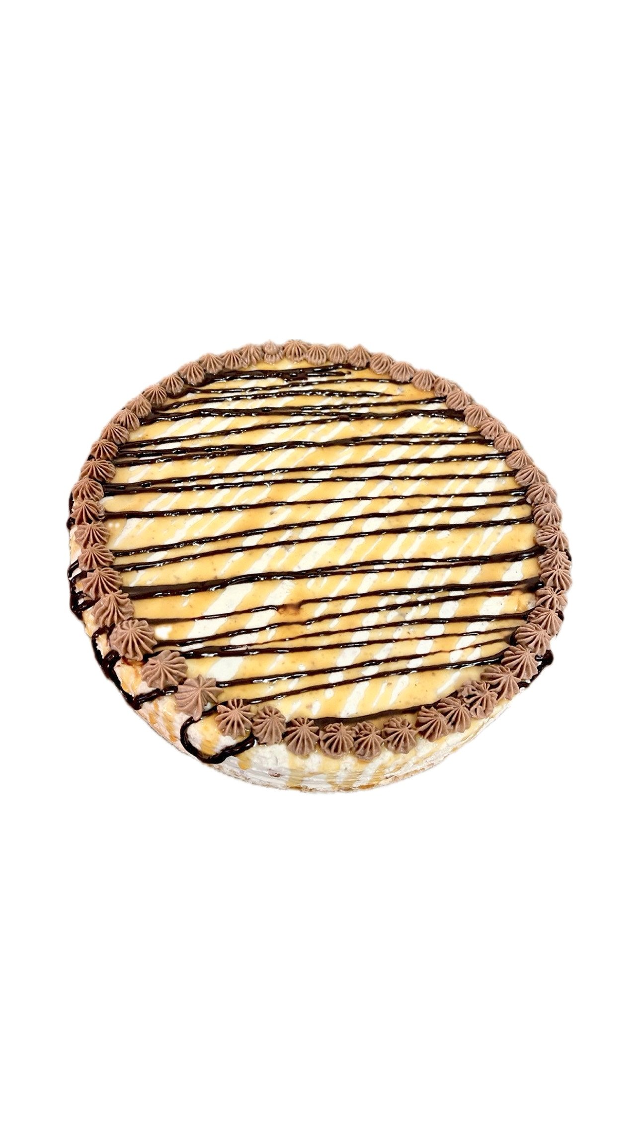 Turtle Cheesecake+
