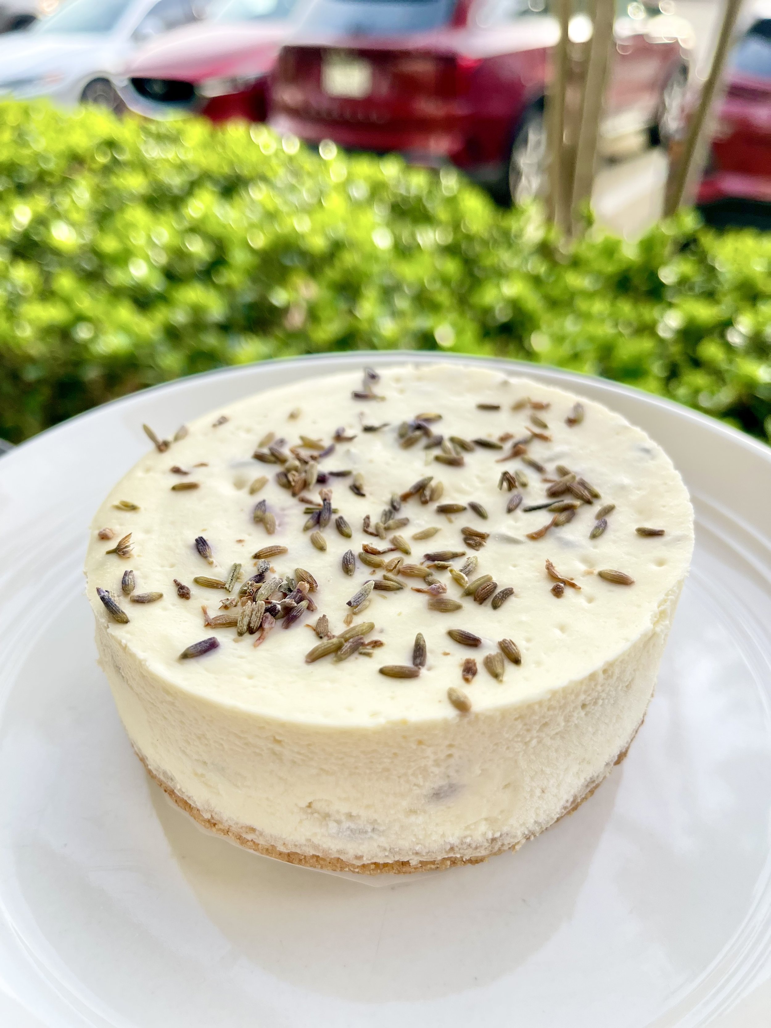 Lavender Cheesecake+