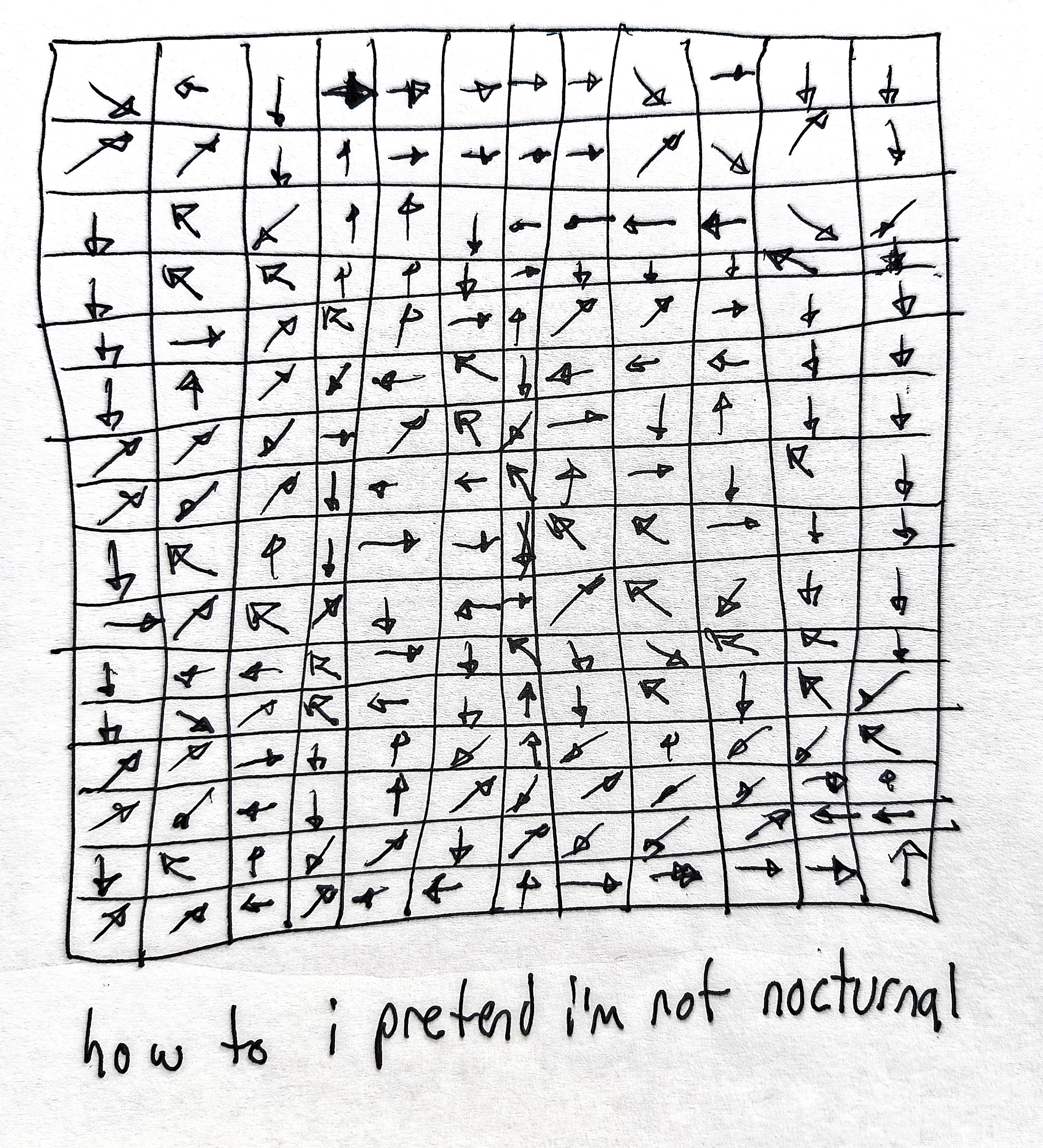 1000033634.jpg