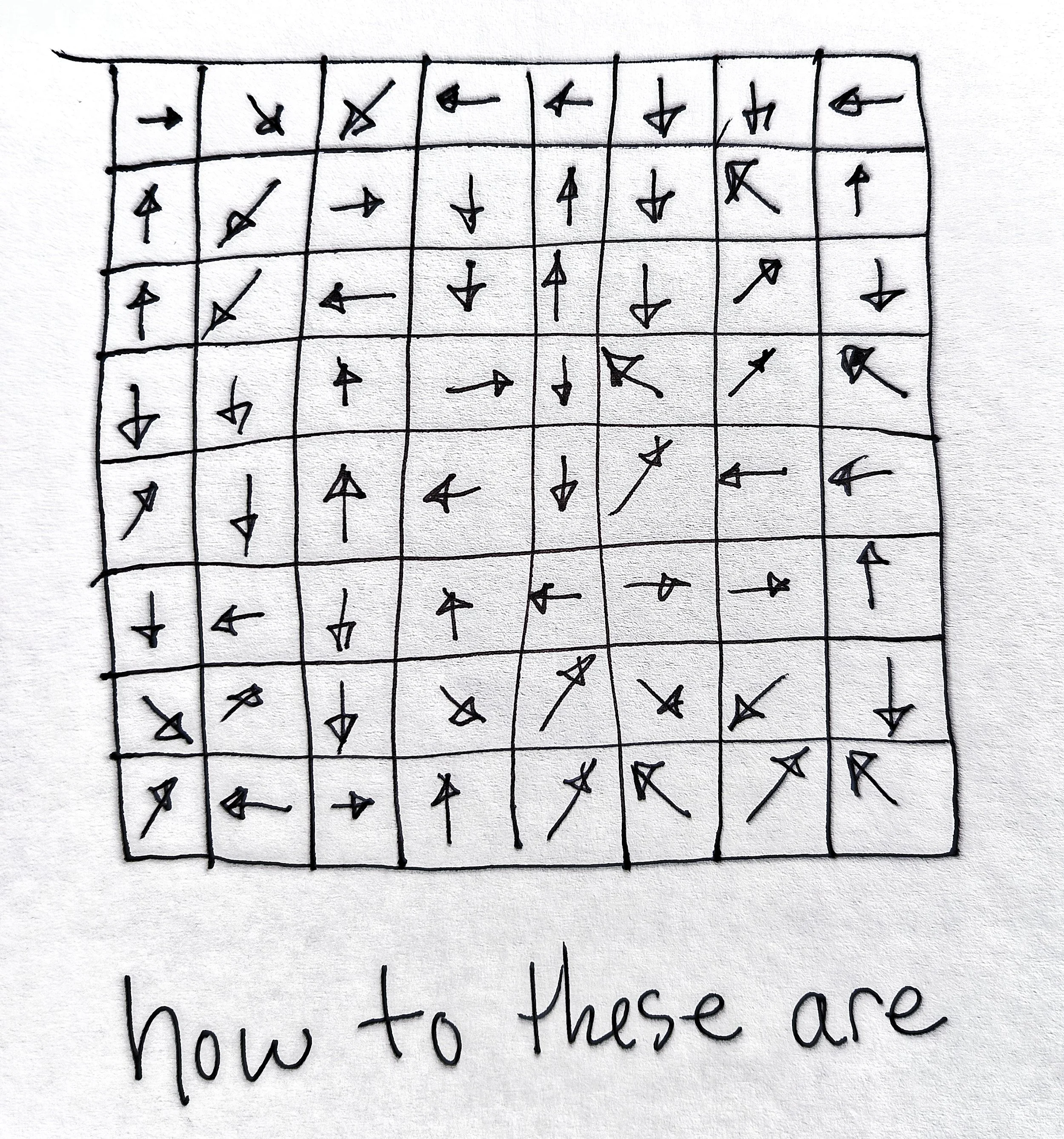 1000033674.jpg
