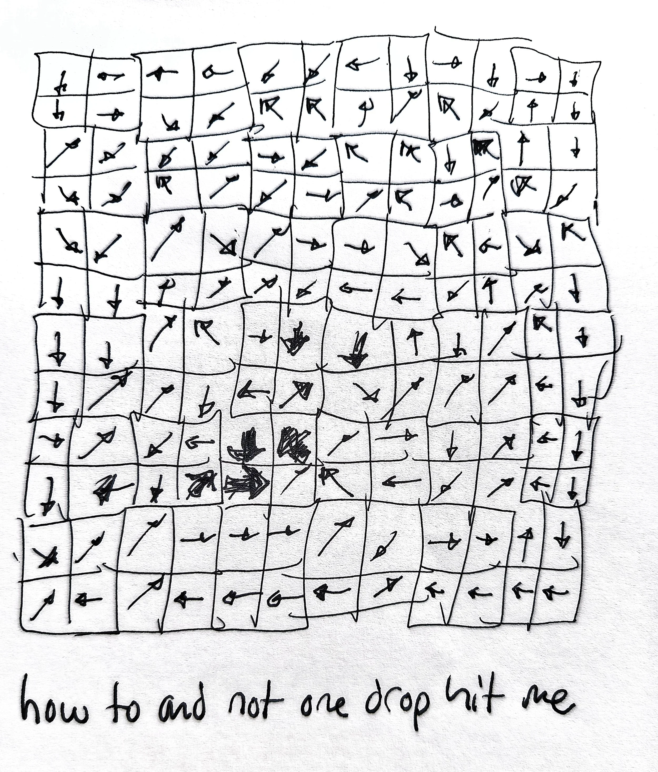 1000033612.jpg