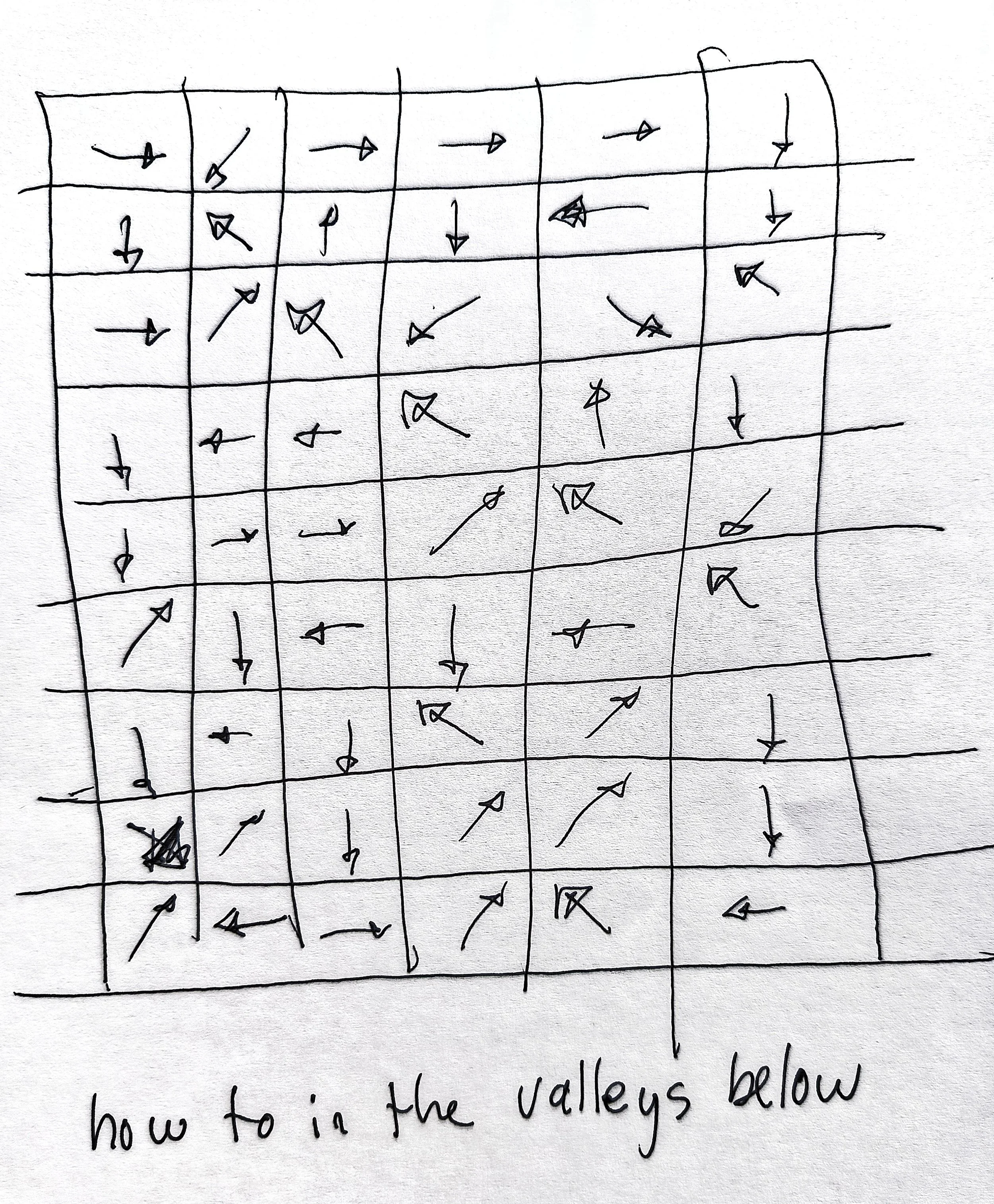 1000033629.jpg