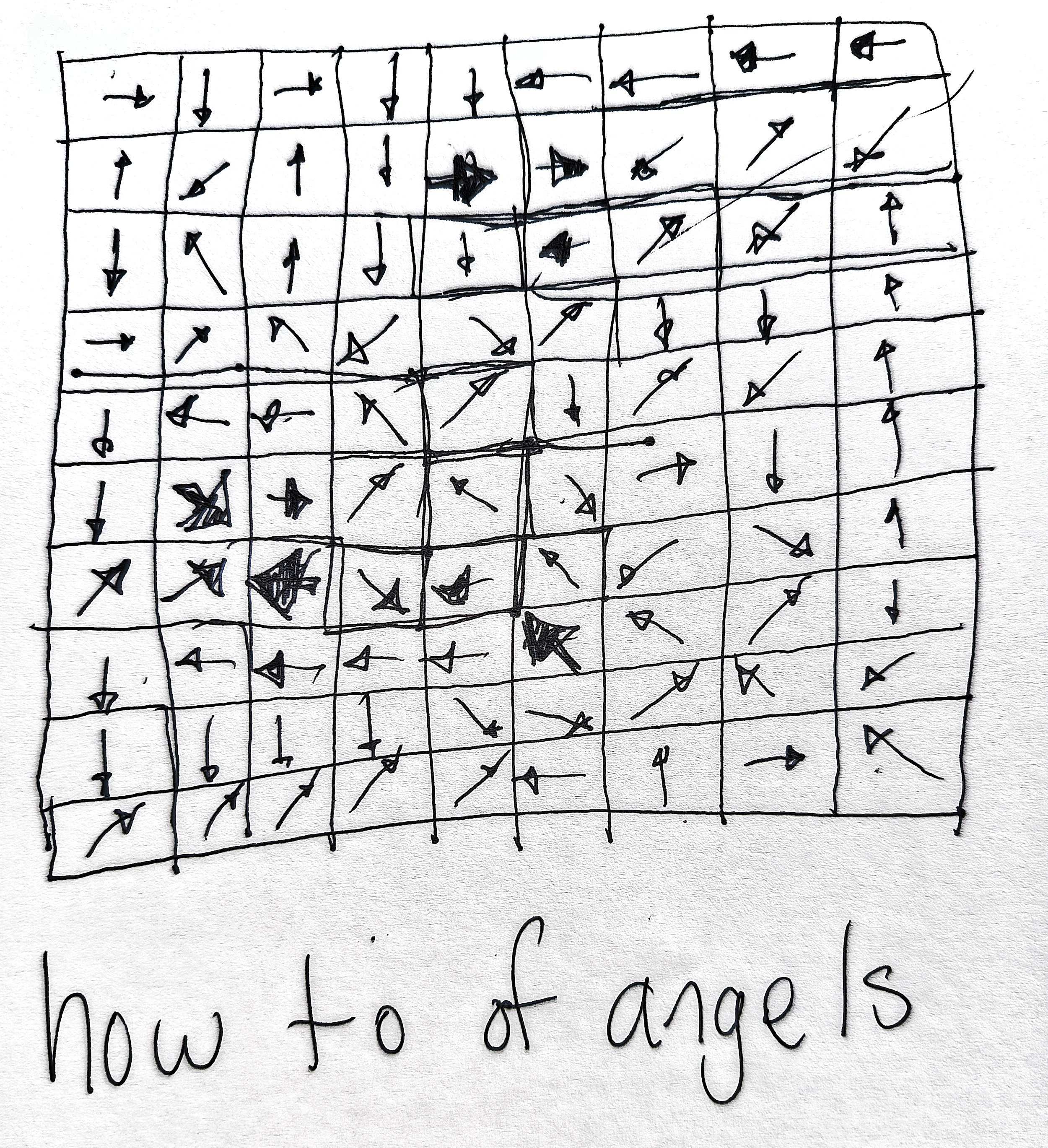 1000033640.jpg