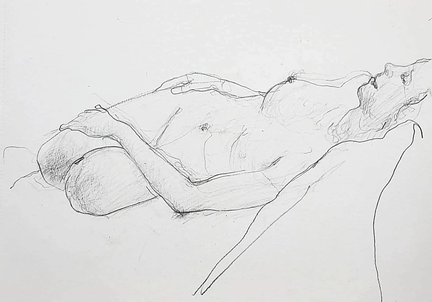 A3, ≈30min 
pencil drawing, reclining nude