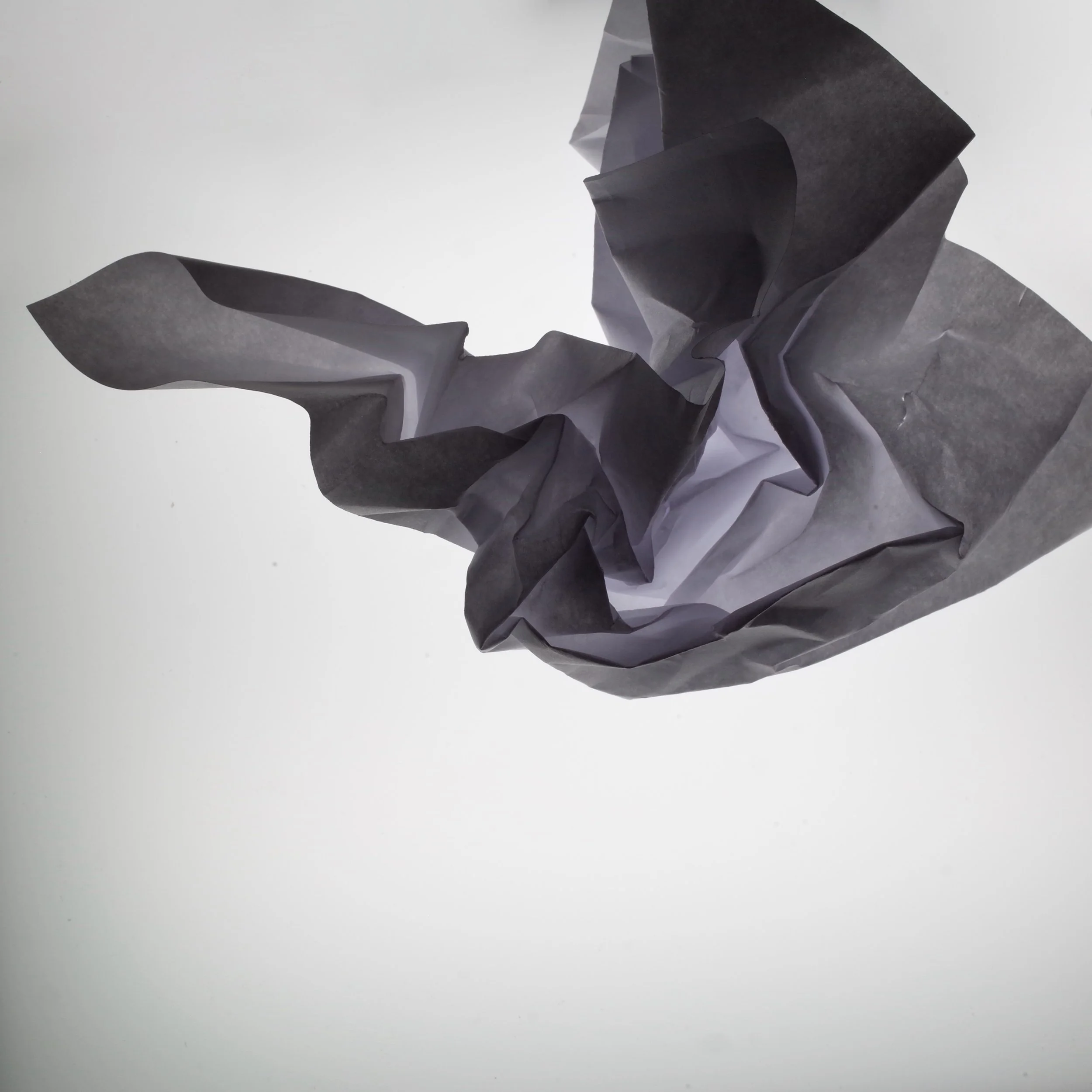 003. 1 of 500 pieces of paper.jpeg