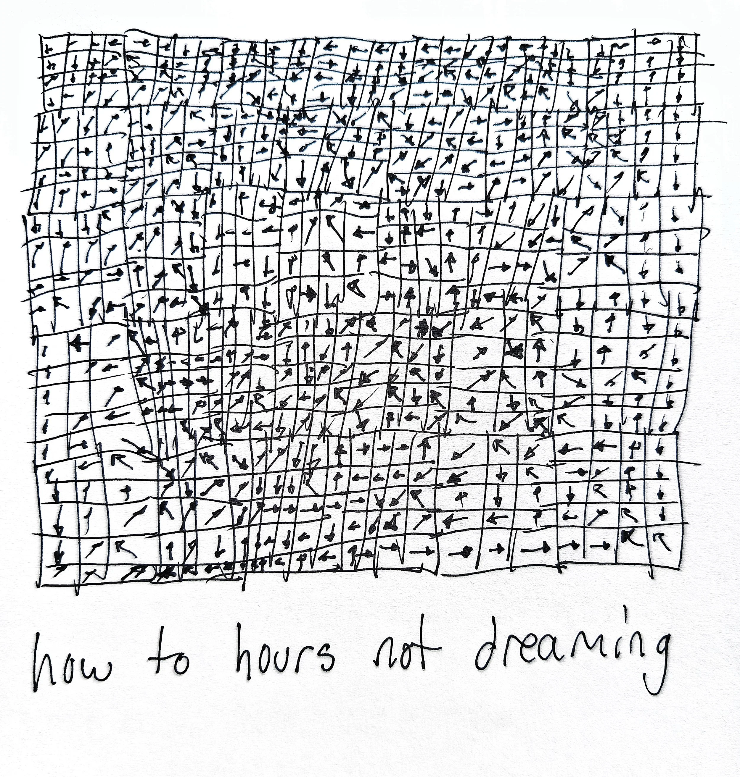 1000033623.jpg