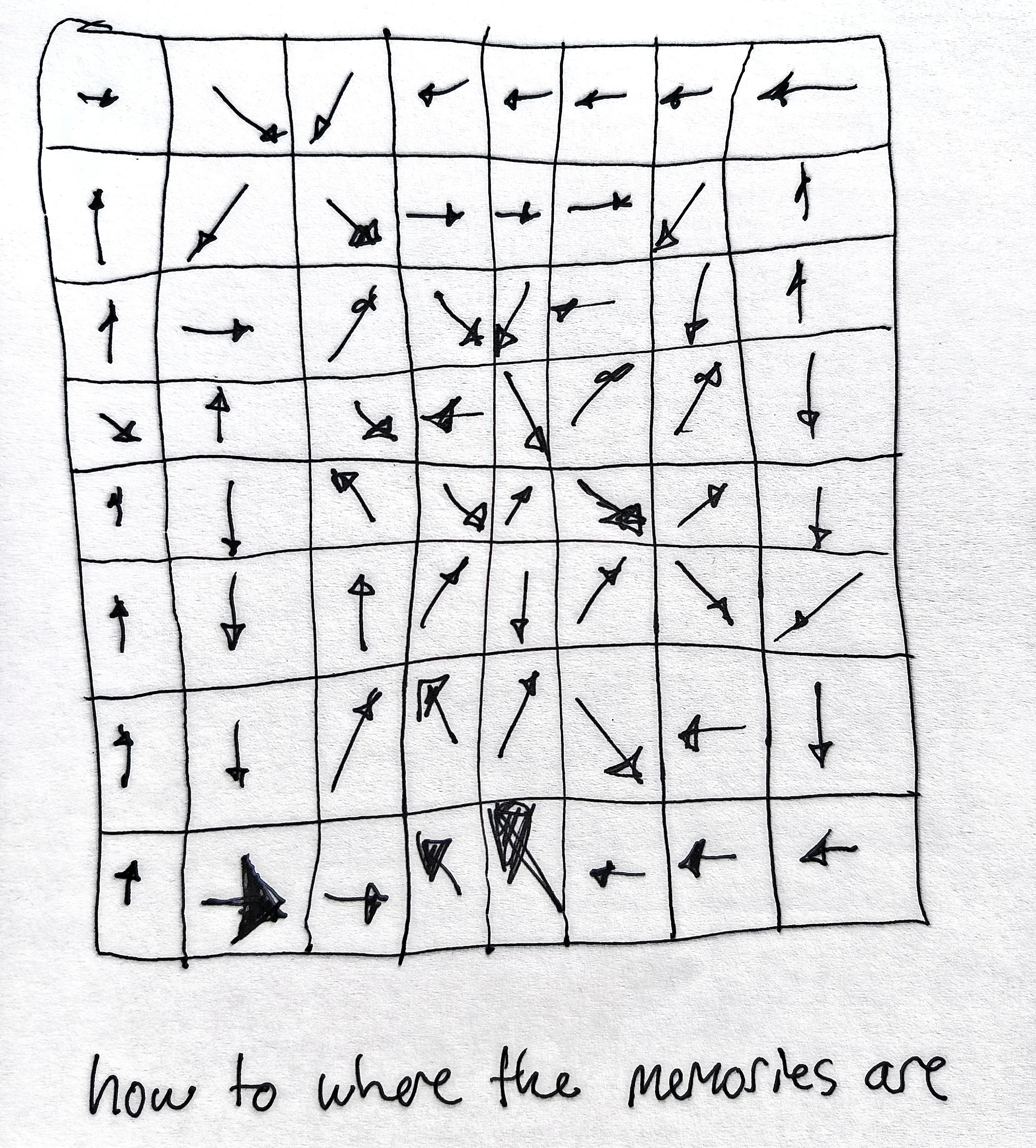 1000033657.jpg